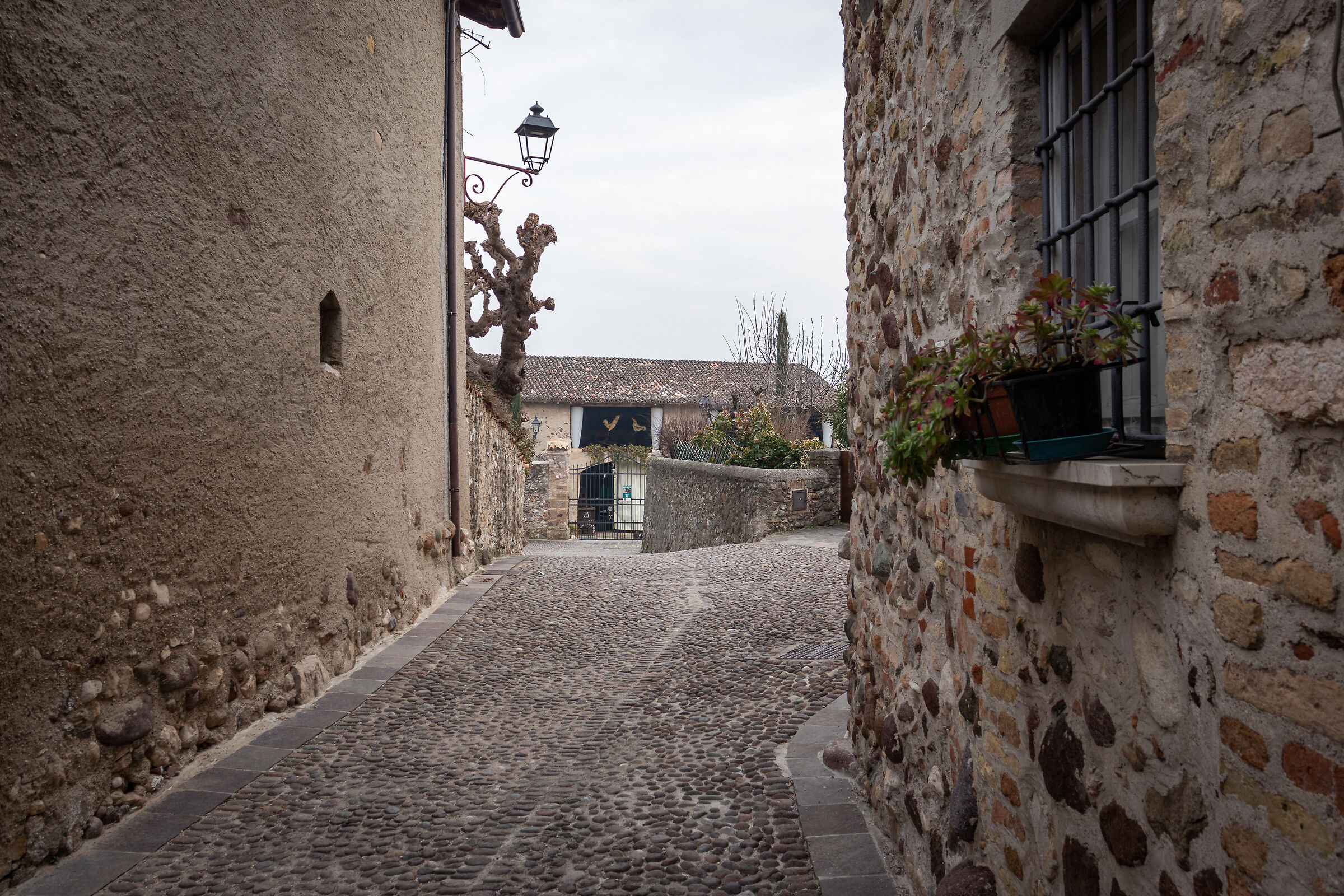 Castellaro Lagusello