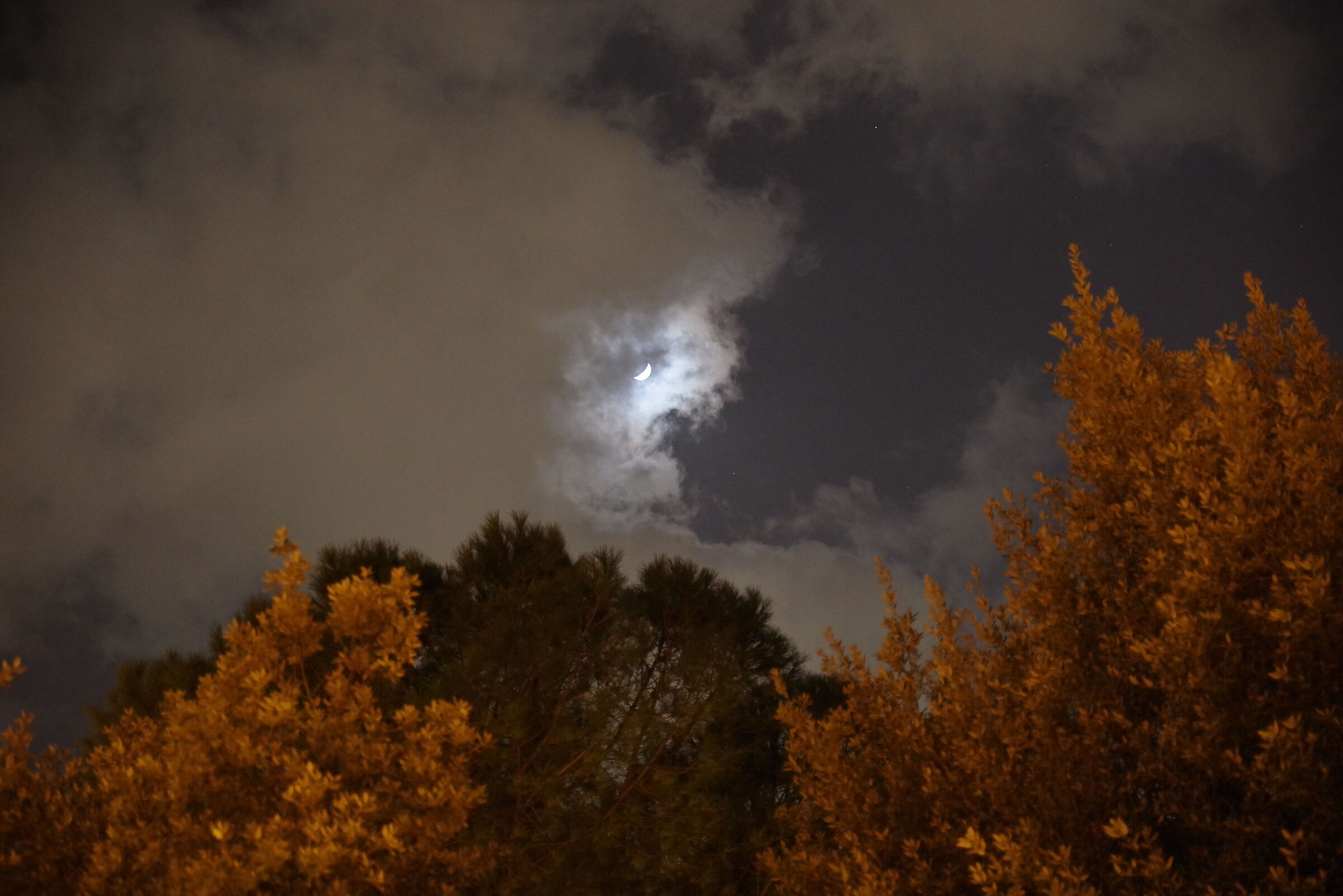 Central park notturno