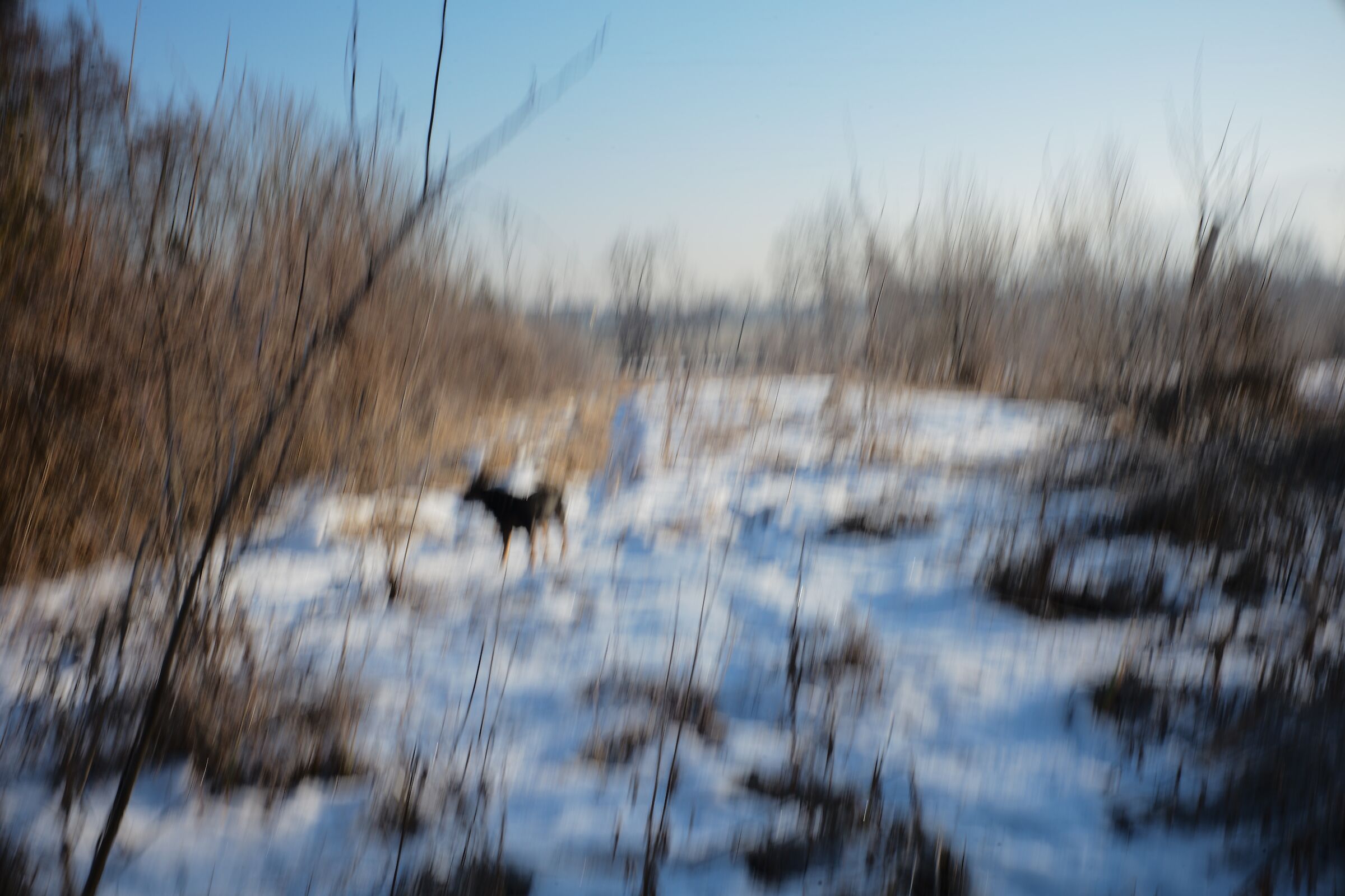 Intentional Camera Movements_03