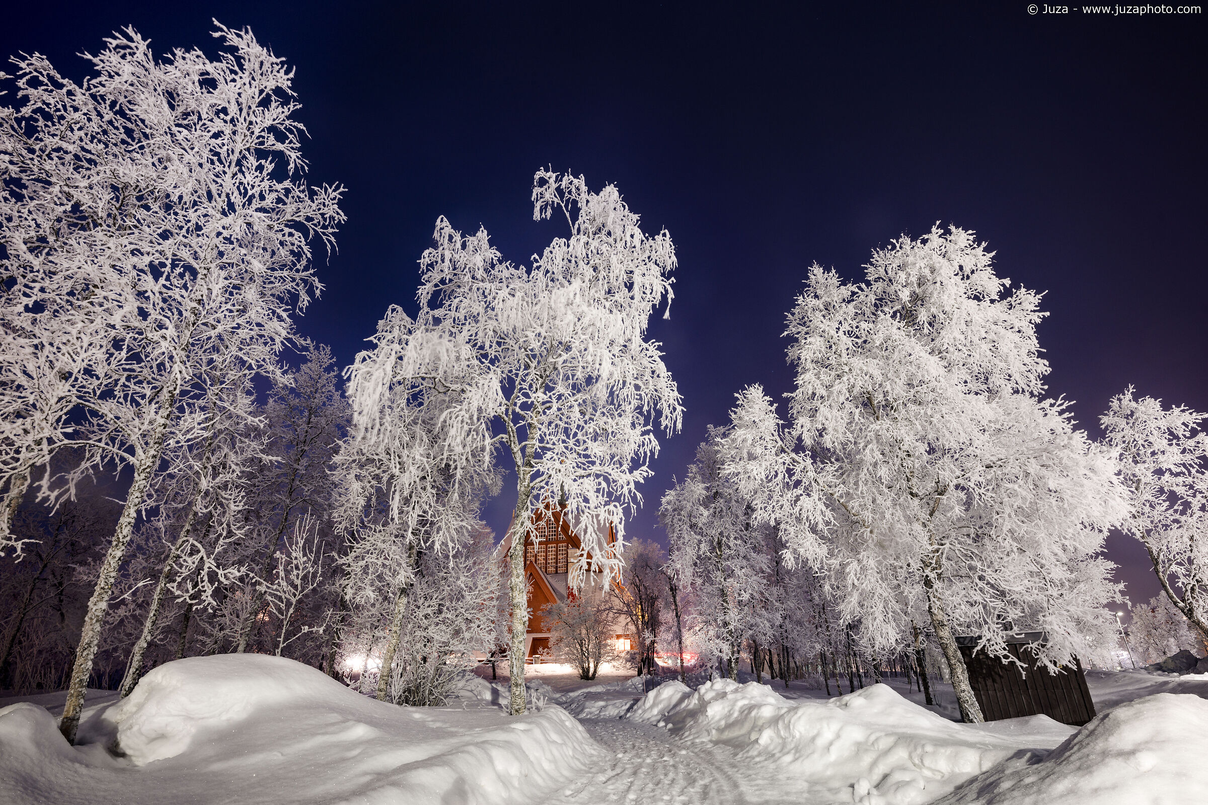 Gli alberi di Kiruna