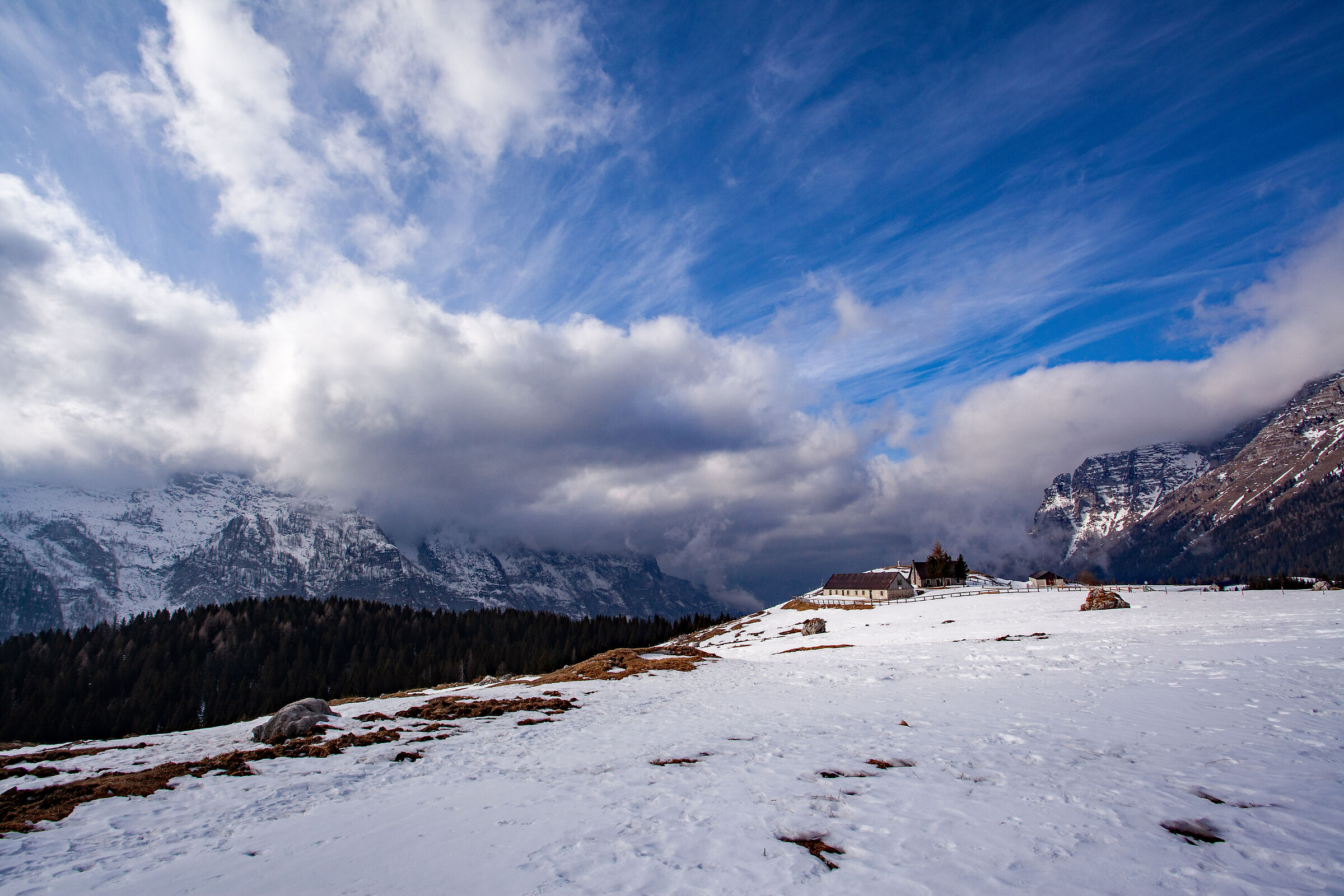 Casera Pecol di mezzo (Montasio plateau)