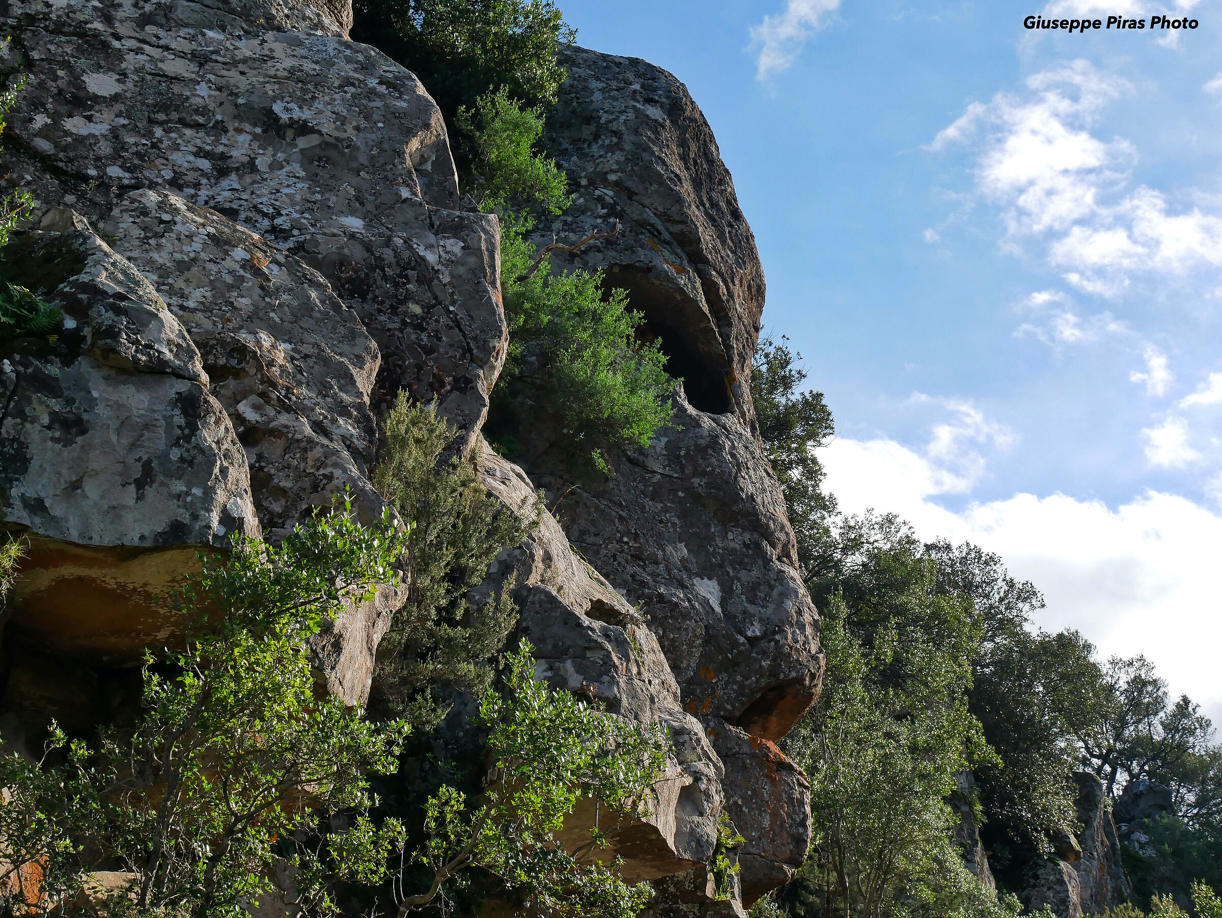 "Maschera di Pietra" di Golgo ("Faccia Litica...