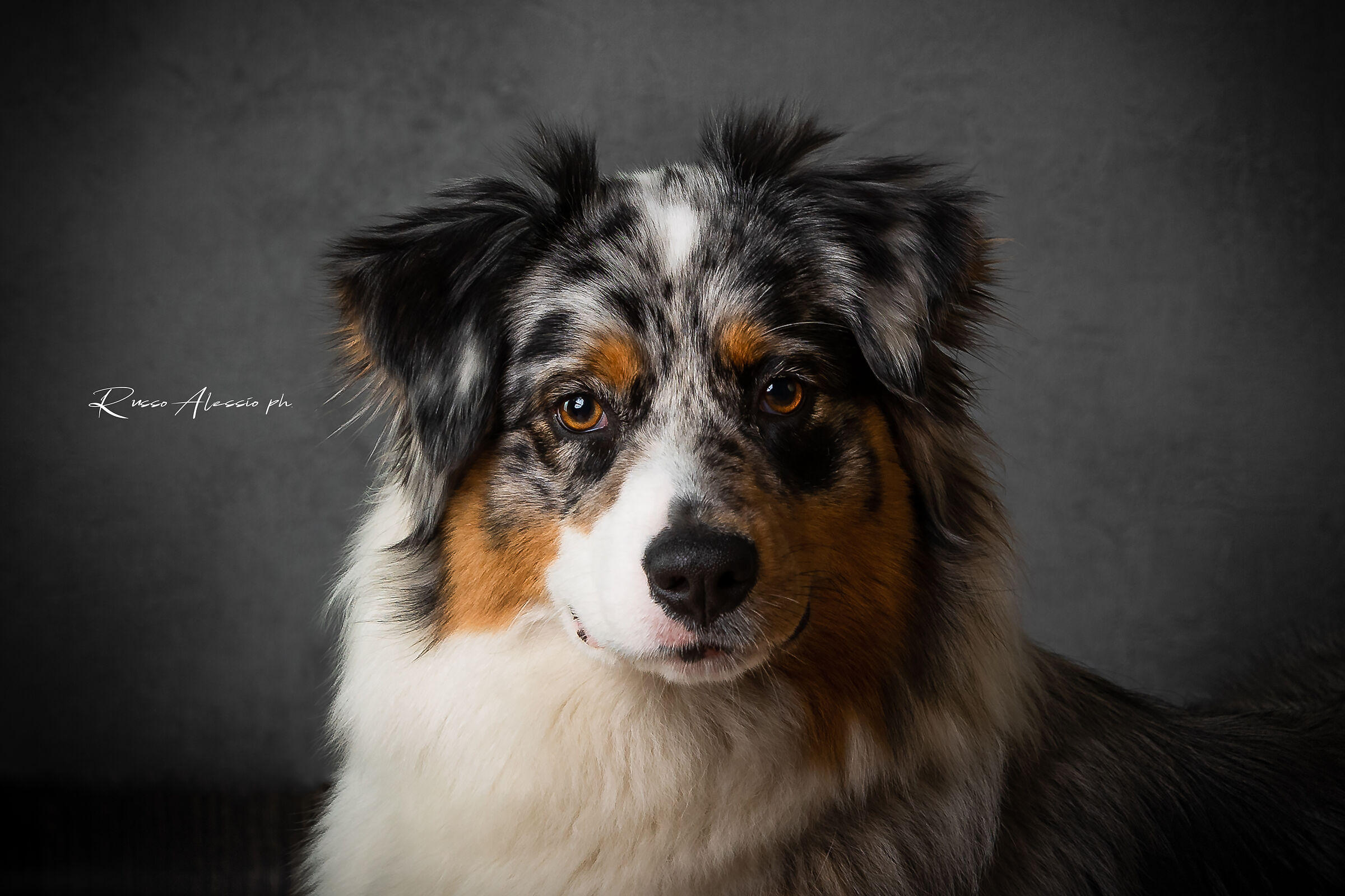 Kira