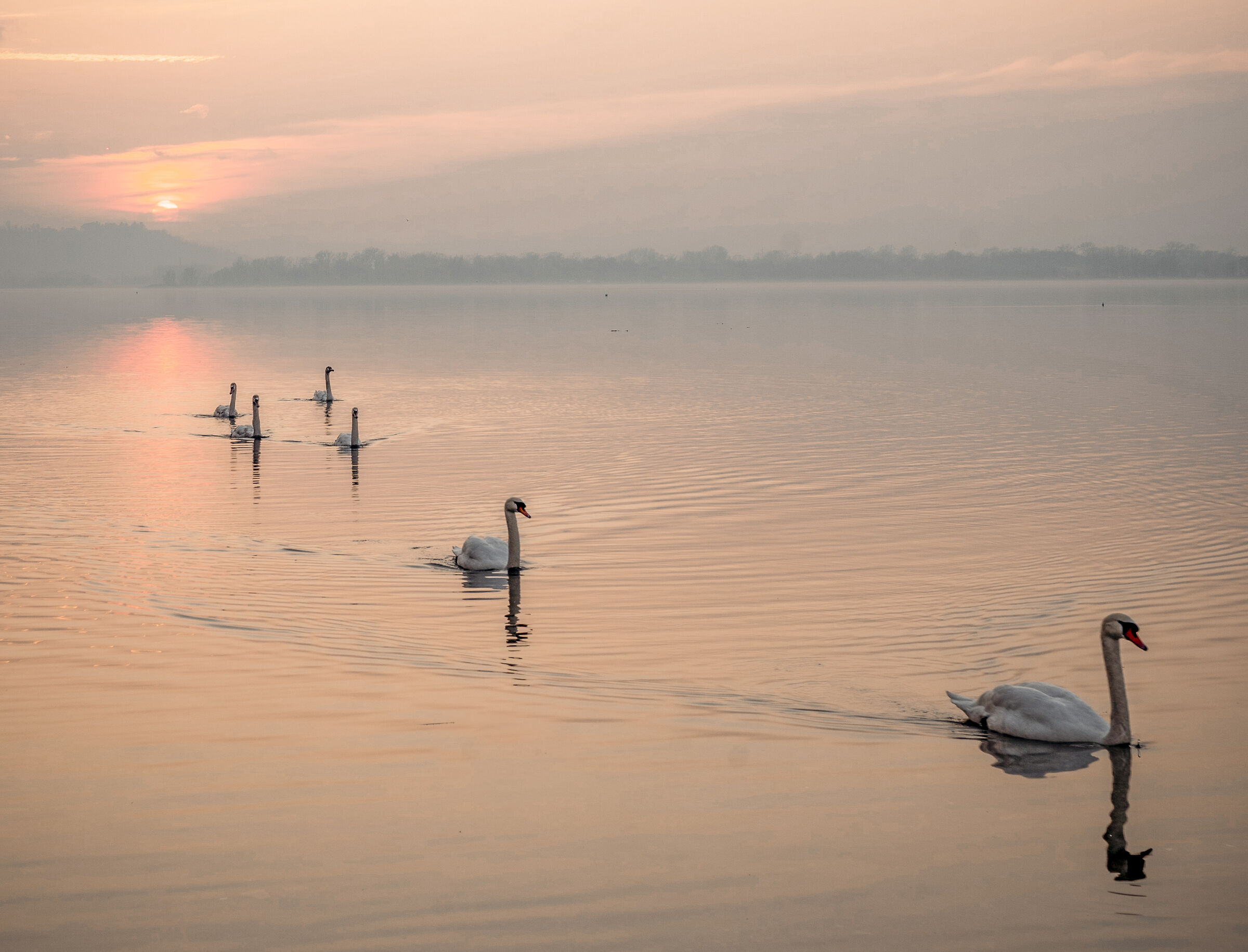 In line with the sunset in the queue