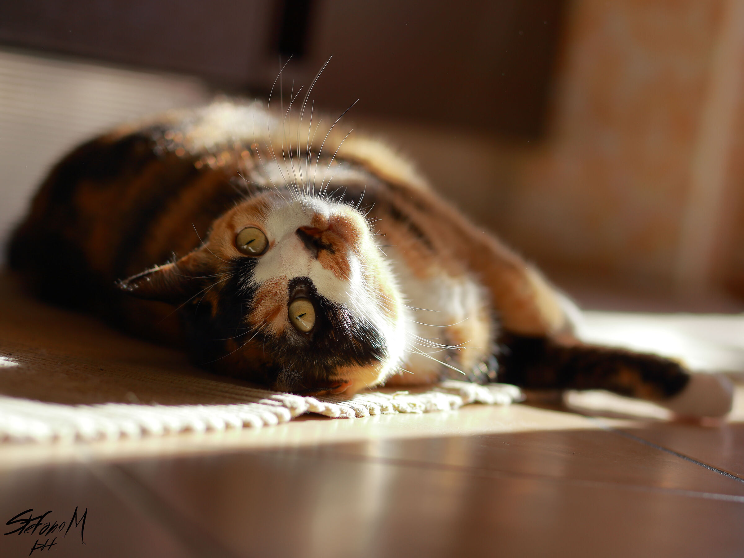 relaxation