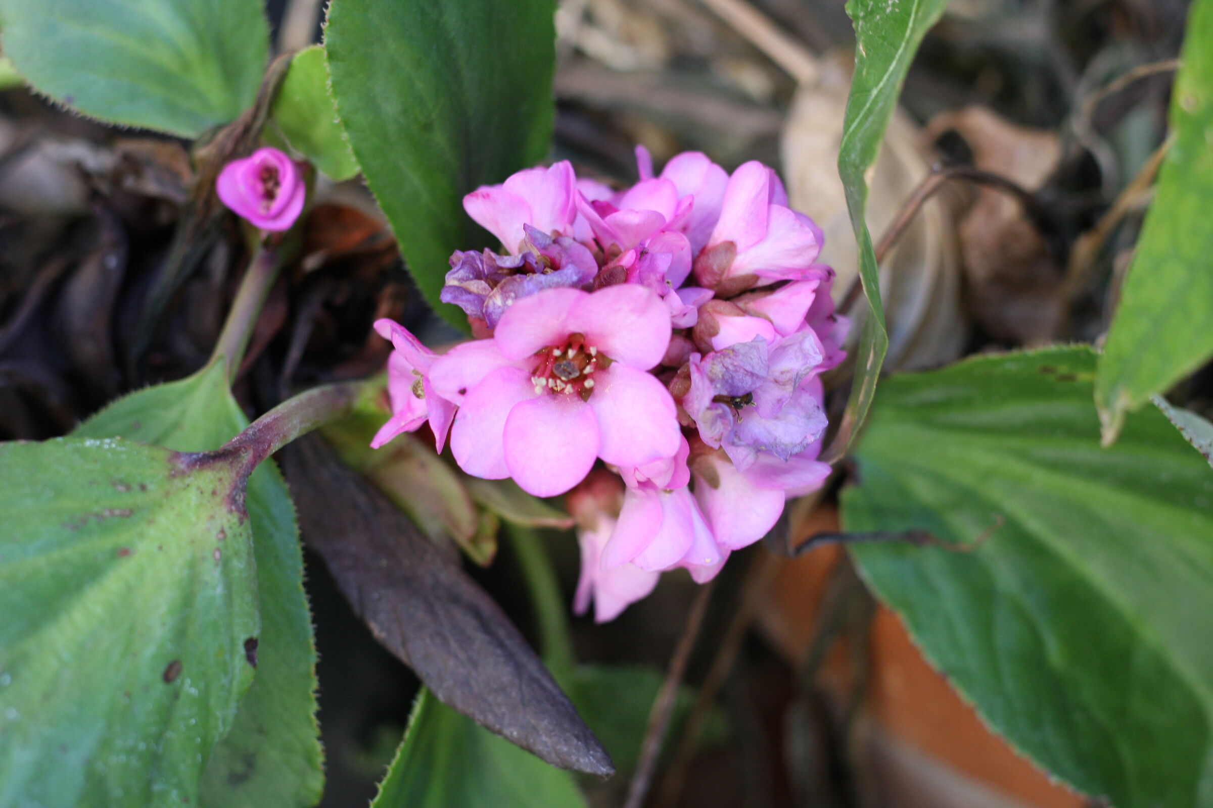 Test