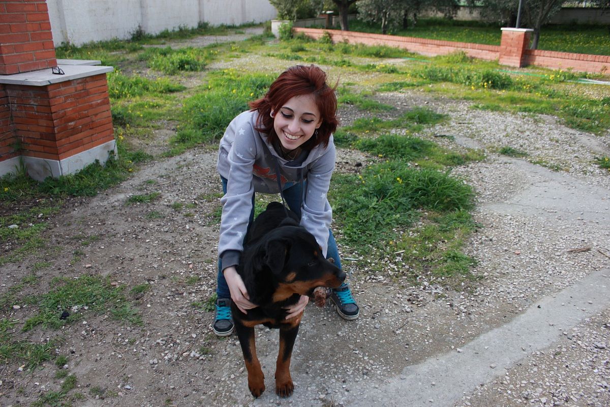 il mio rottweiler  dago