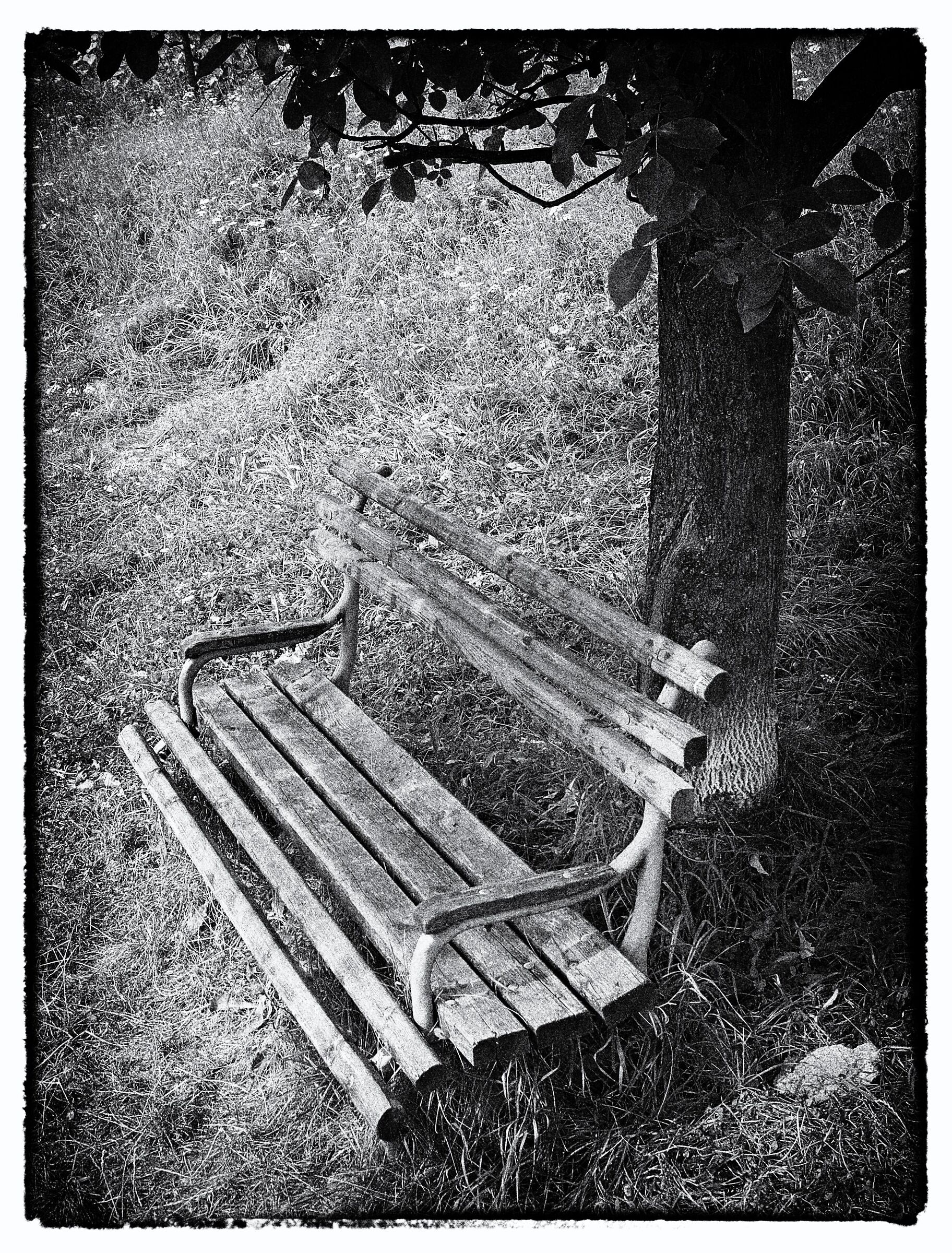 bench - black and white