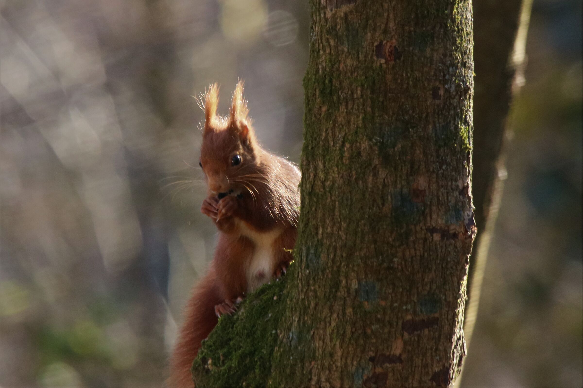 Prime uscite di fine inverno