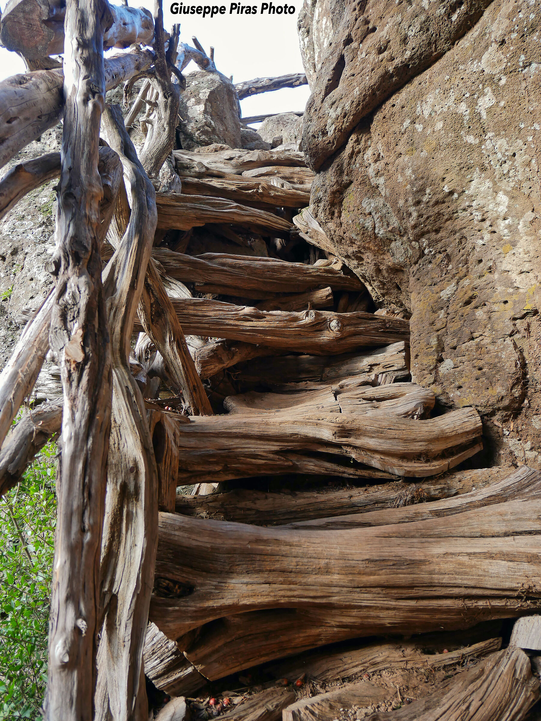 Juniper staircase - Baunei