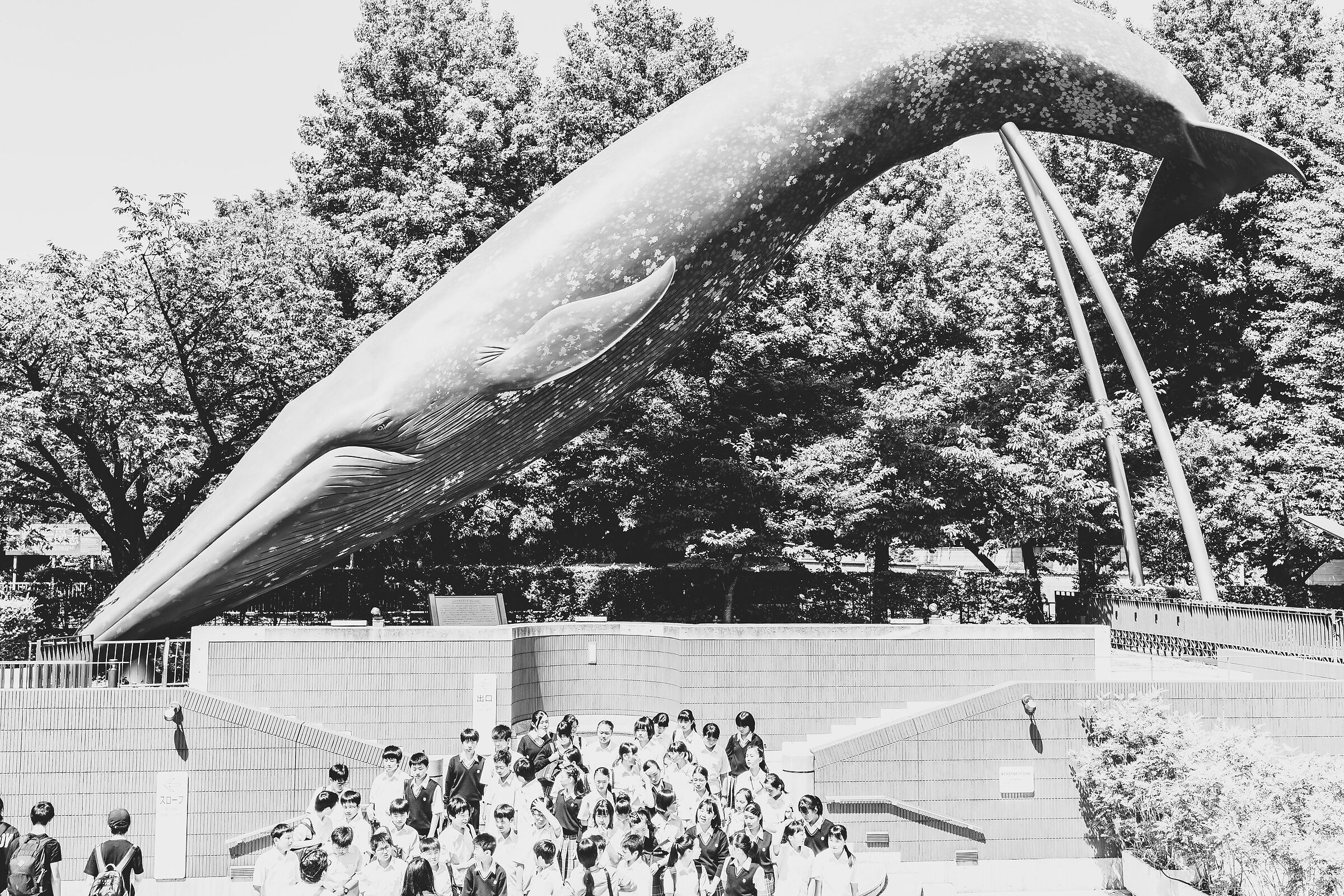 Tokyo - Science Museum