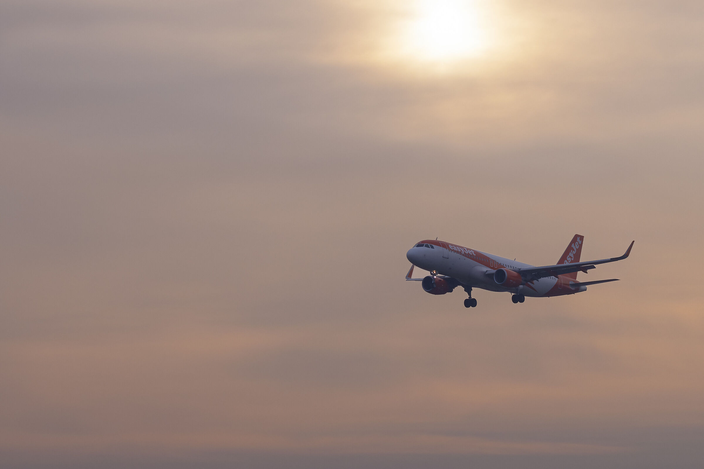 Easy emerge dalla nebbia