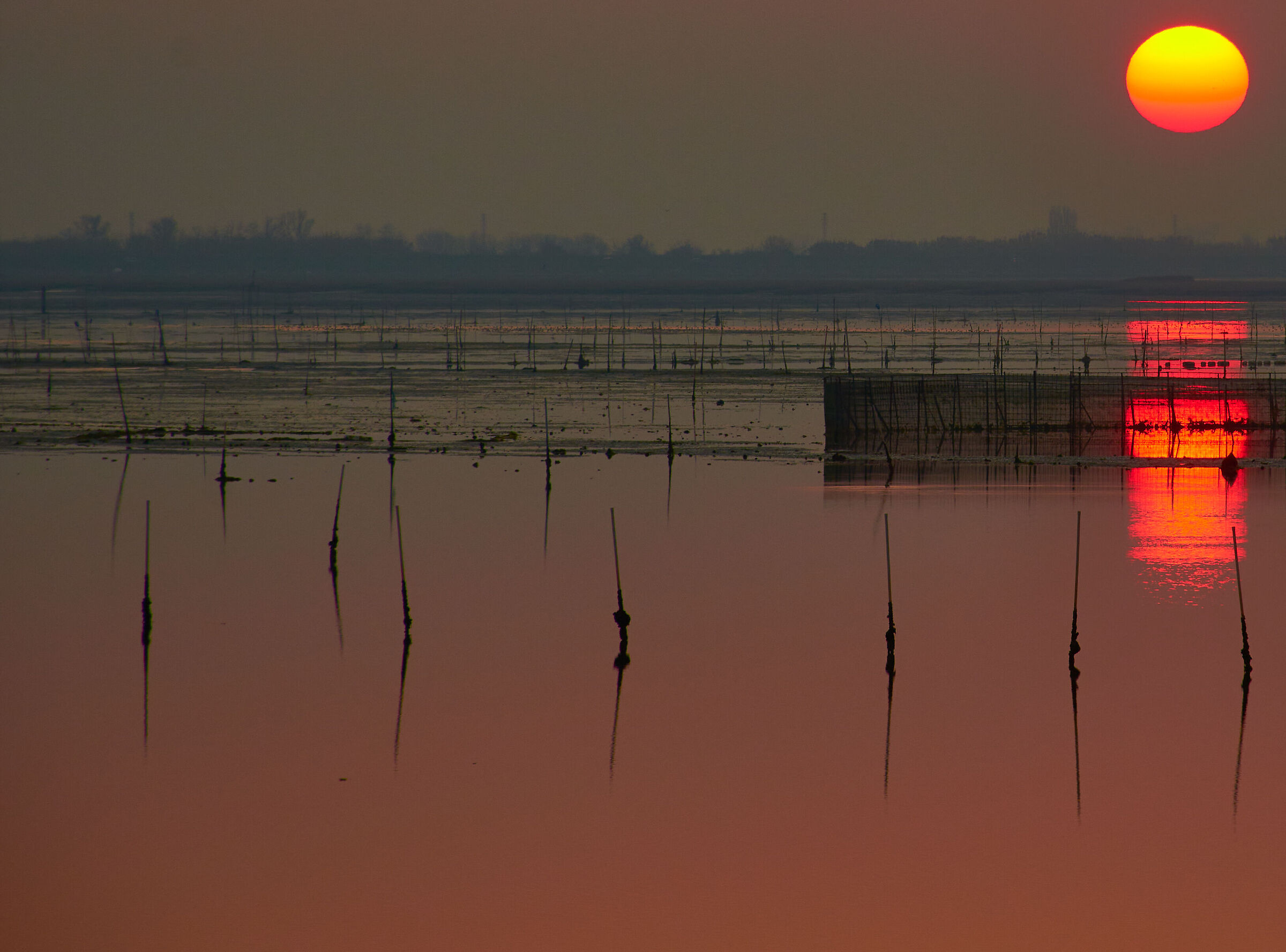Sunset in the Lagoon