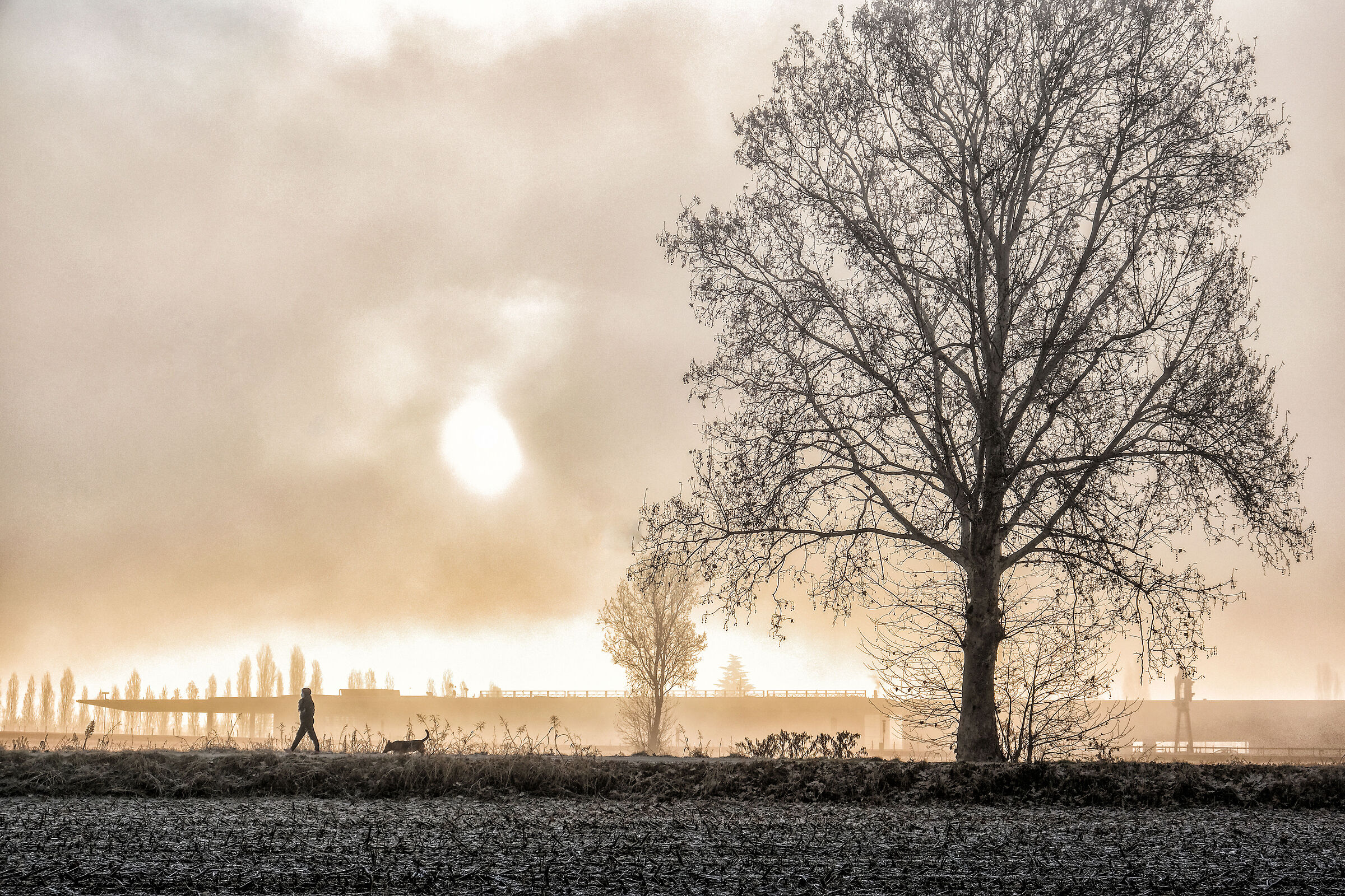 Atmosphere in the mists