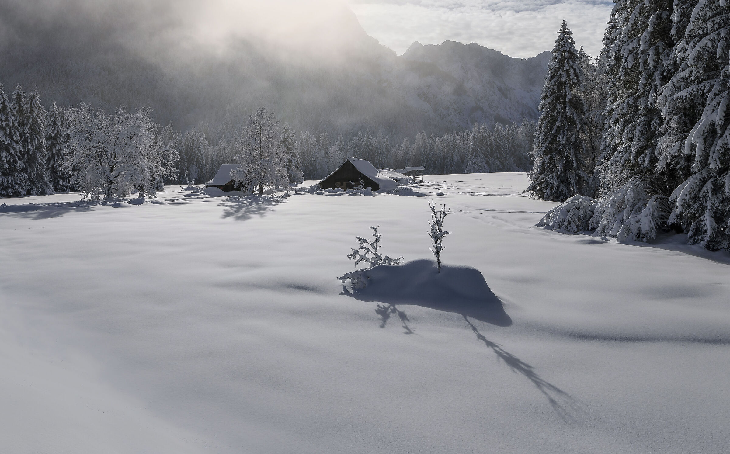 Winter in the mountains