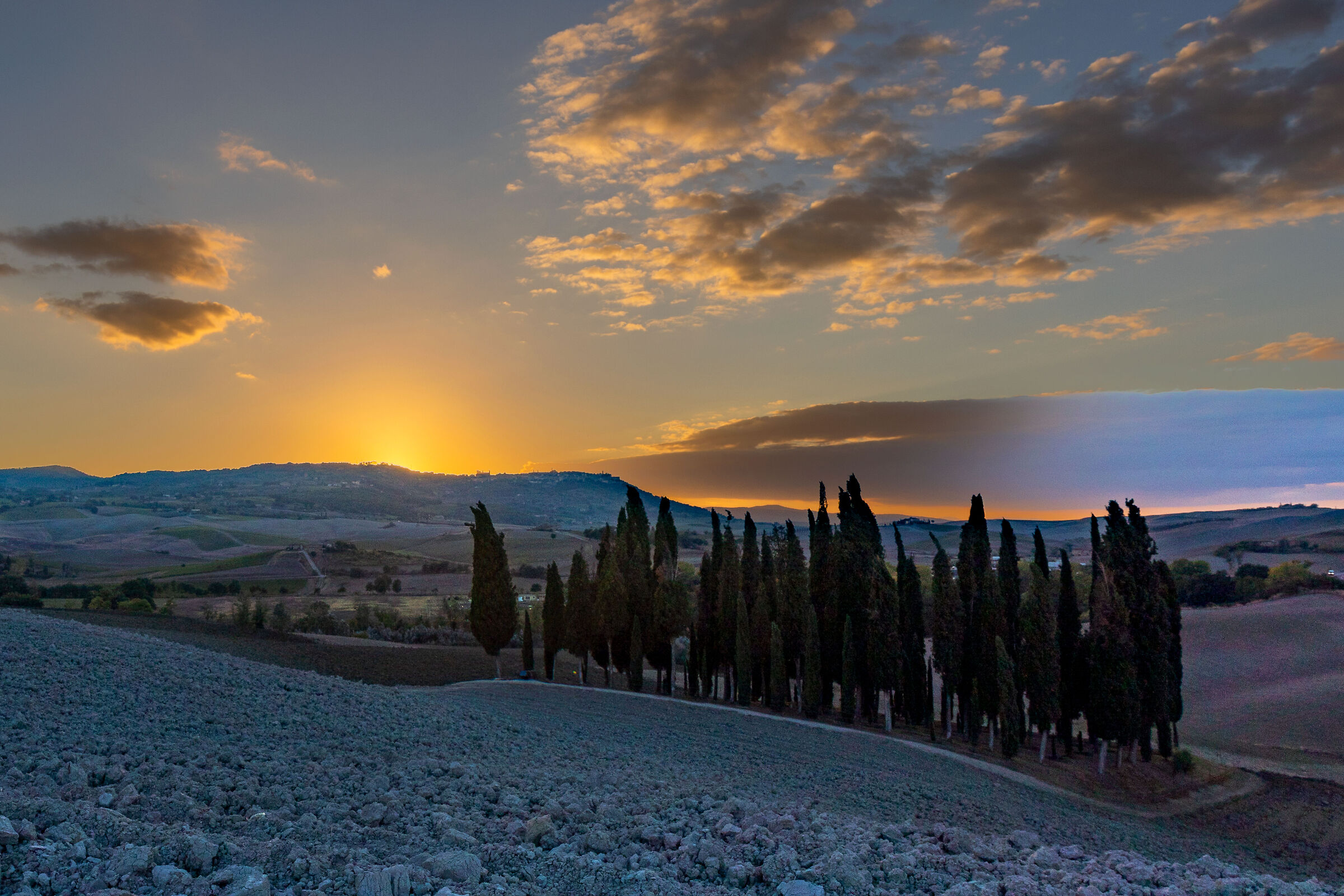 I cipressi di S.Quirico