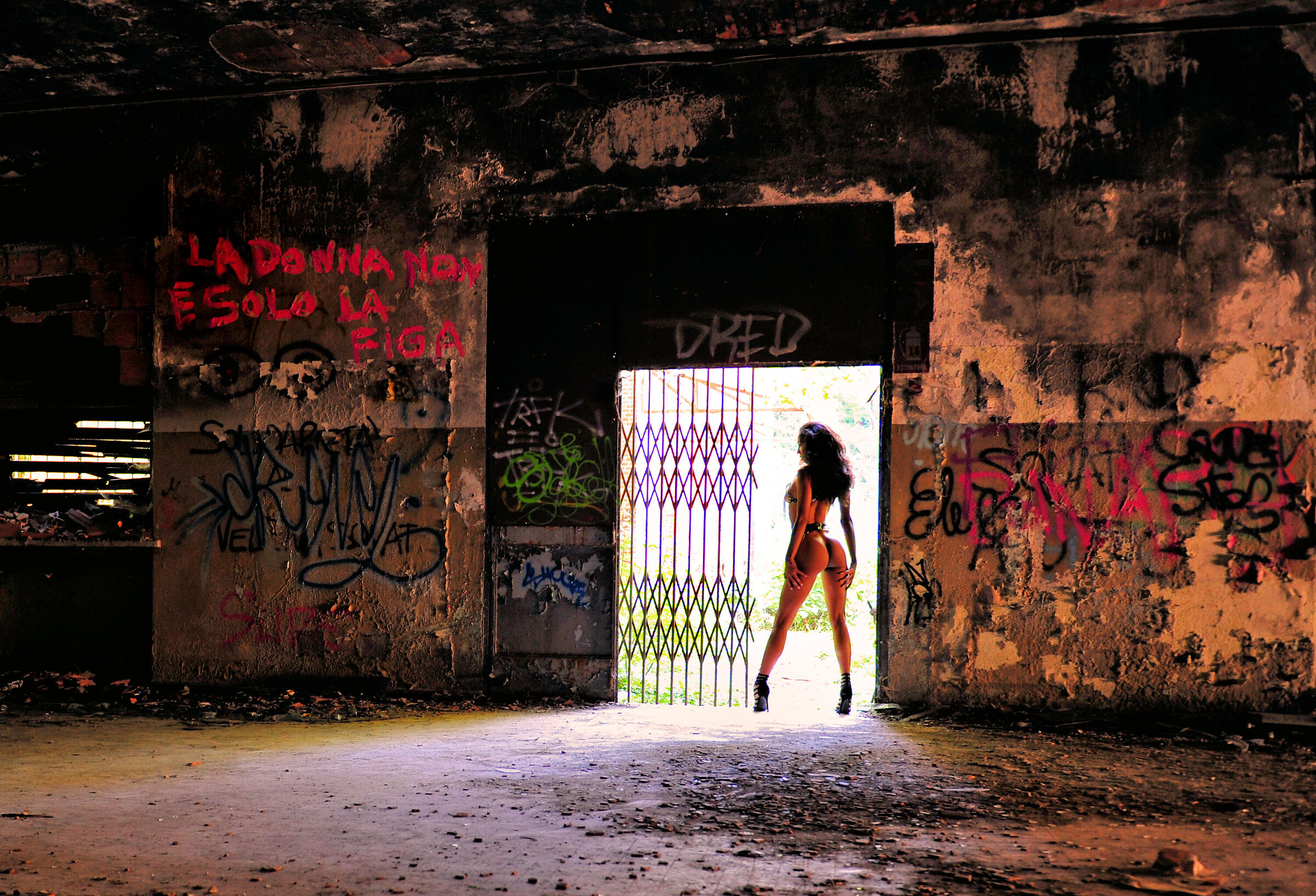 model: Saily