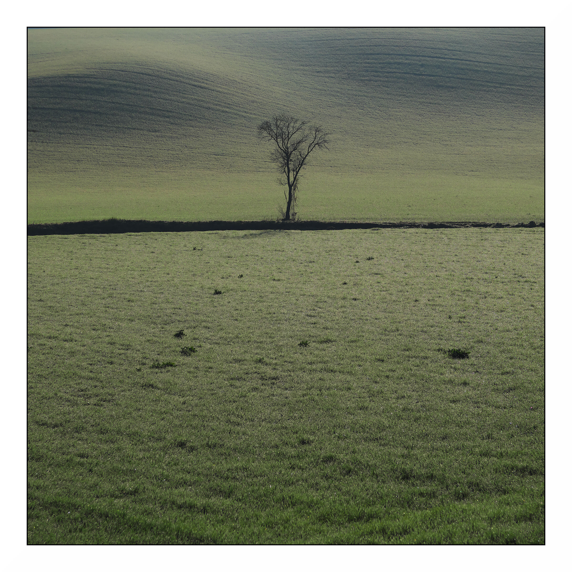 A sign on the ground