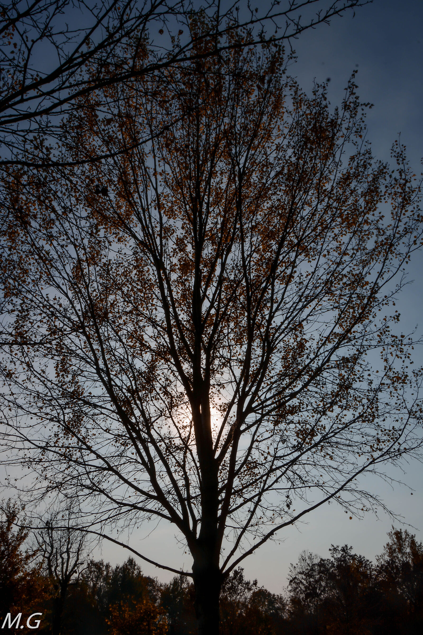 backlight