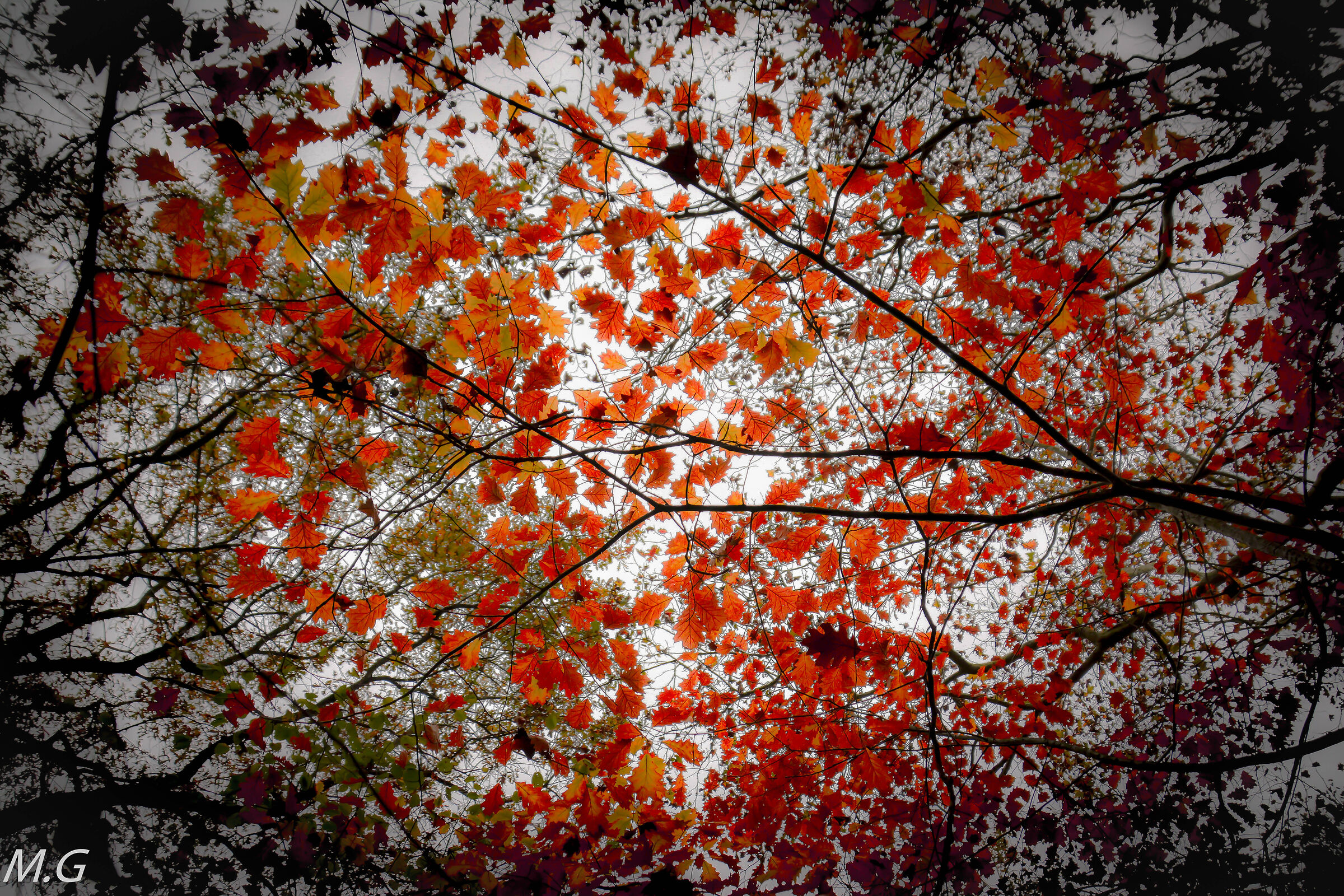 Untitled Photo