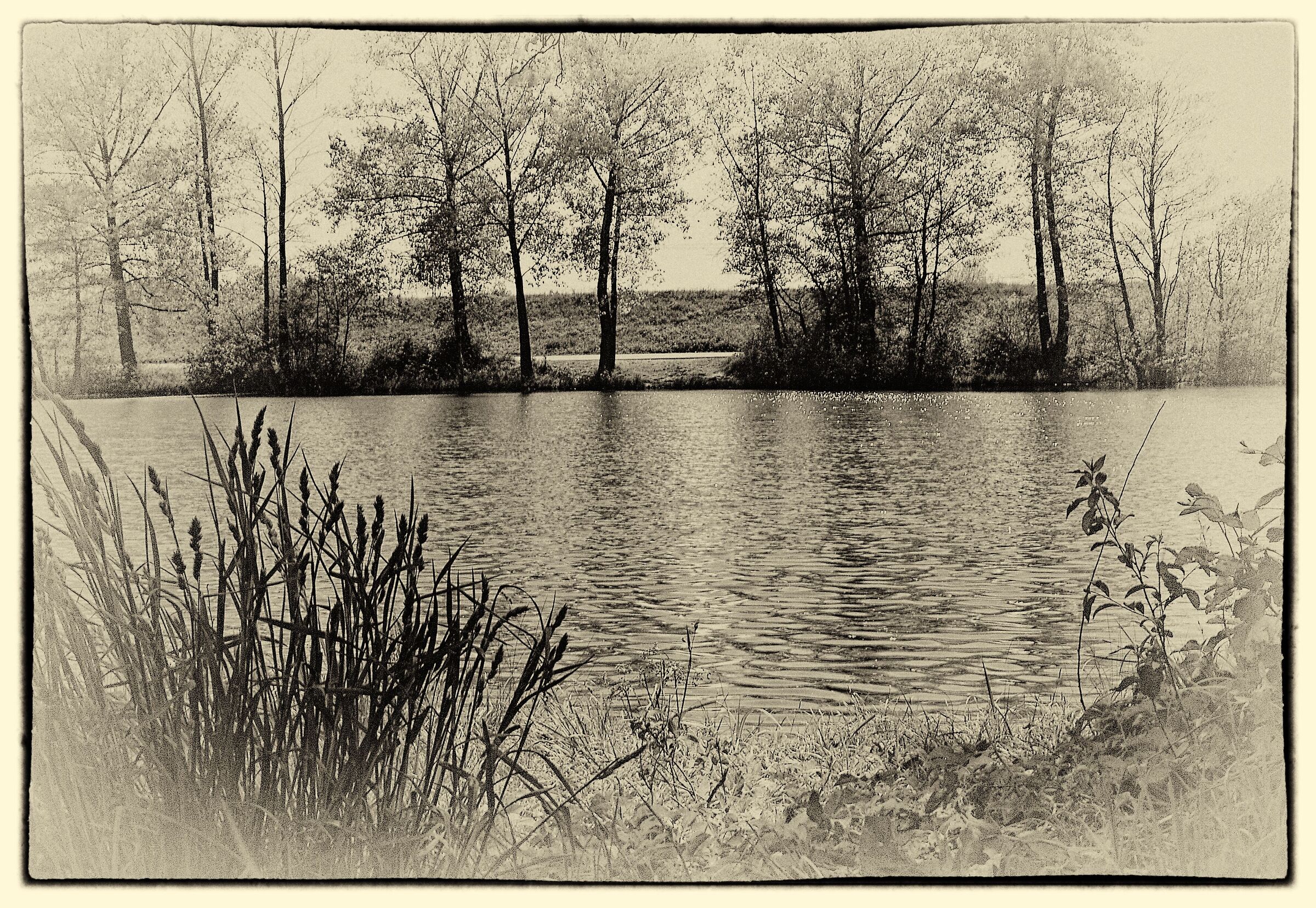 lake - black and white