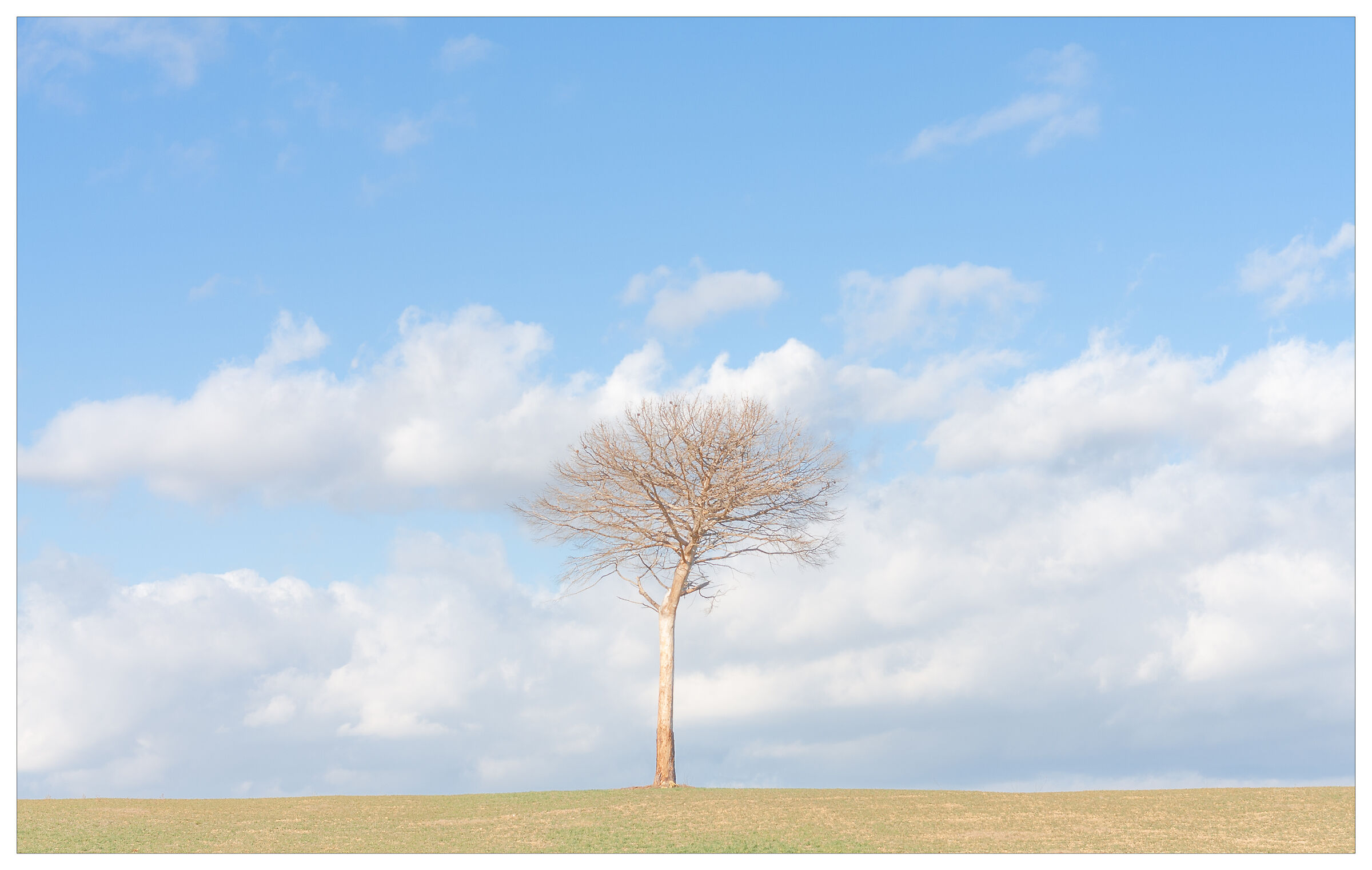 Tutto lo spazio che cerco