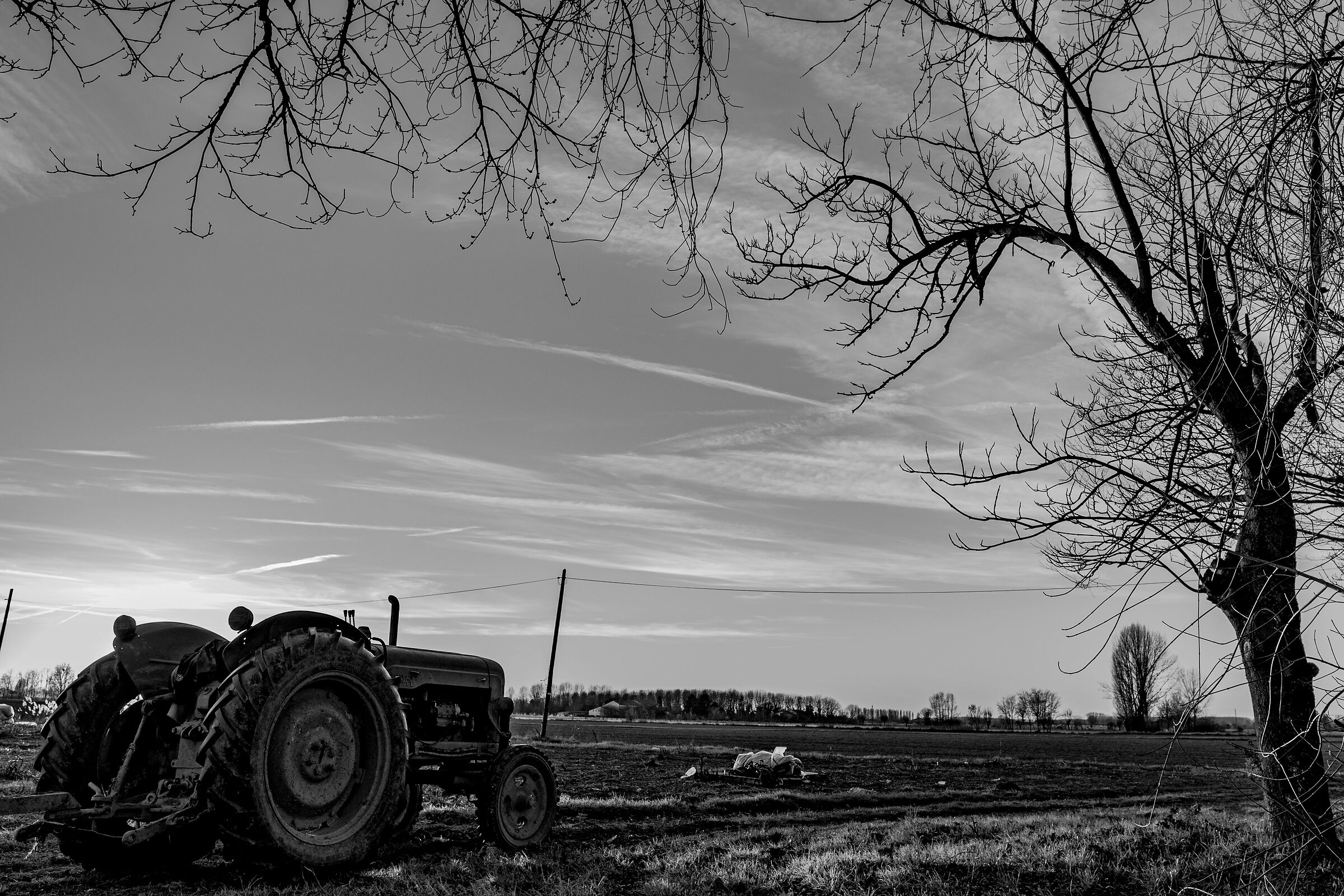 Tra i campi al tramonto.