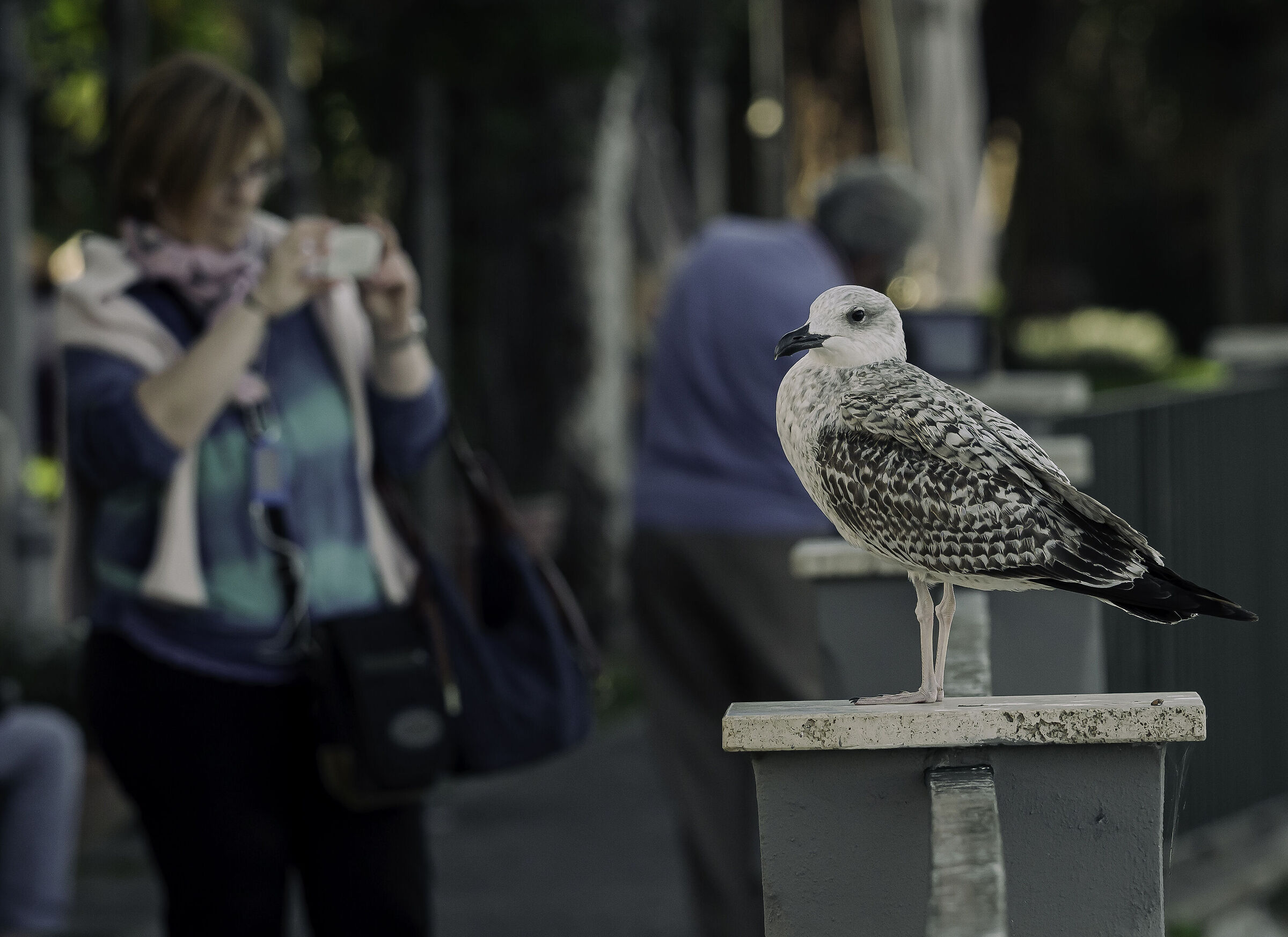 Today I feel like a star...