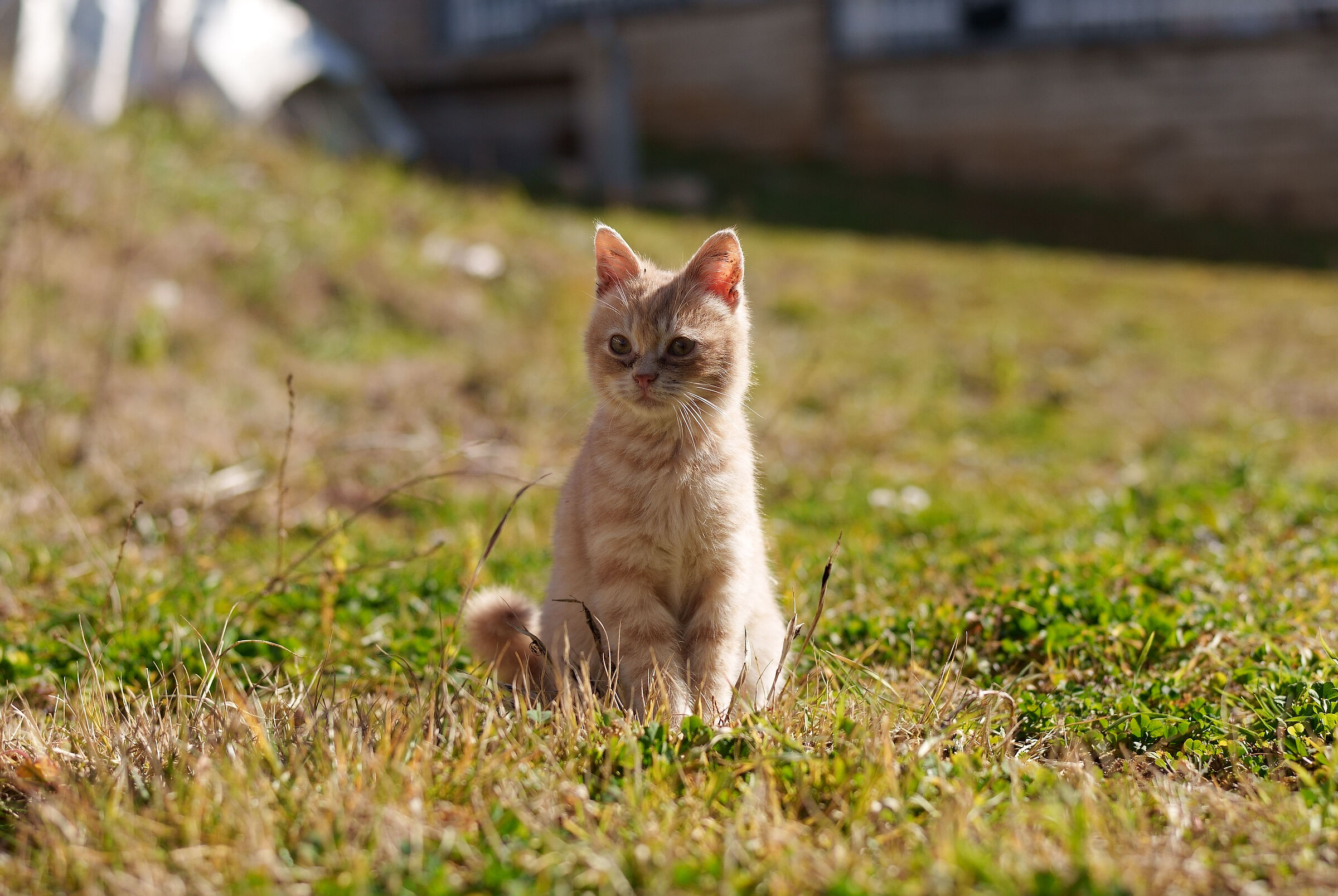 posing please, thank you