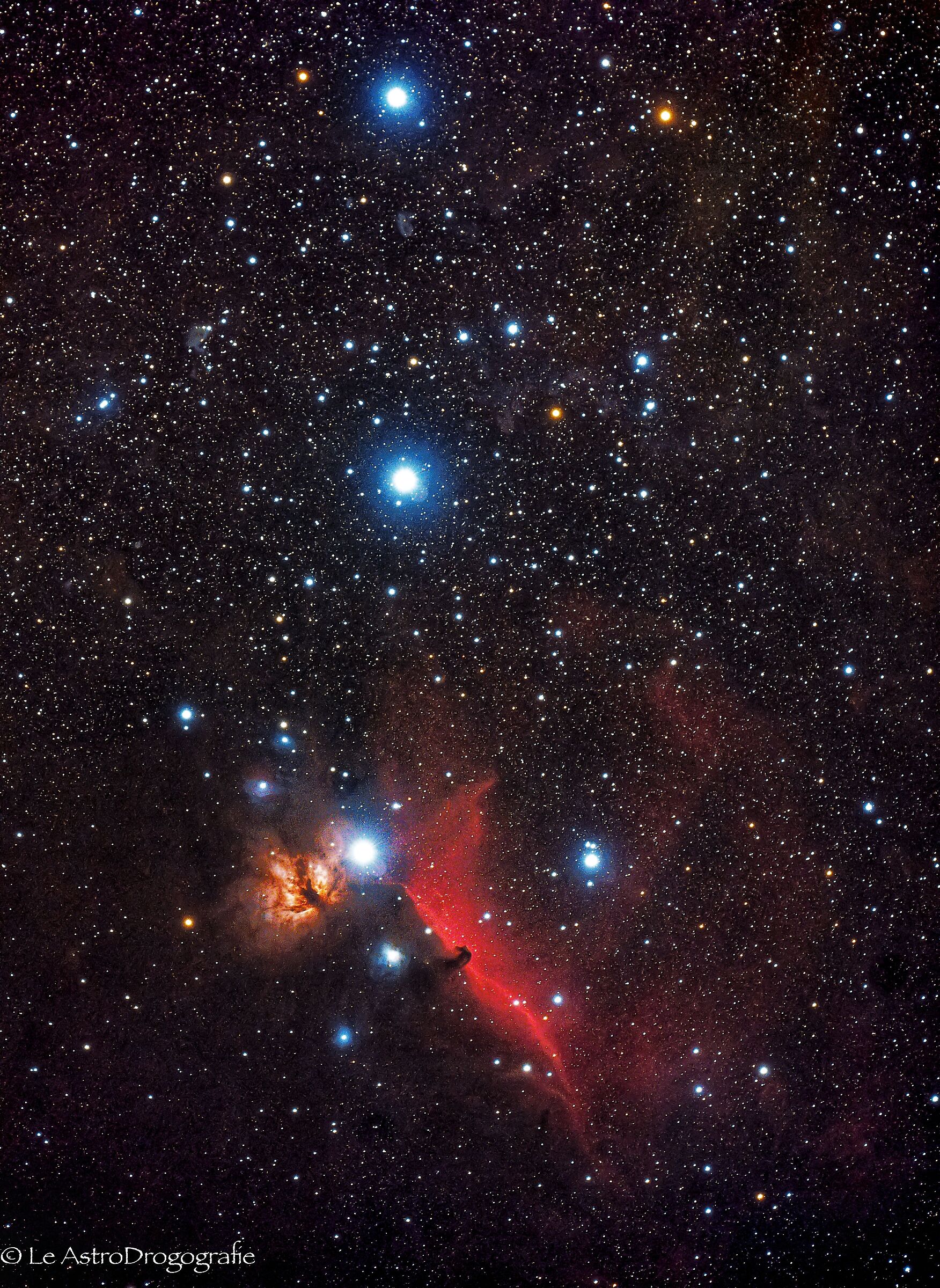Testa di cavallo in Orione