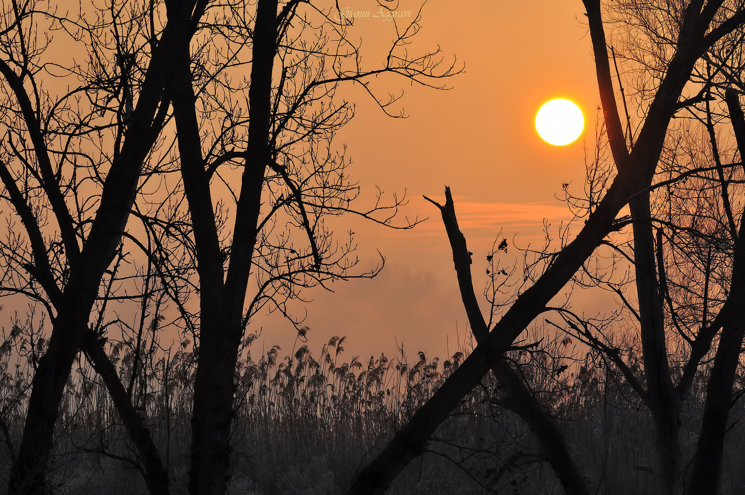 Alba al Lago di Chiusi