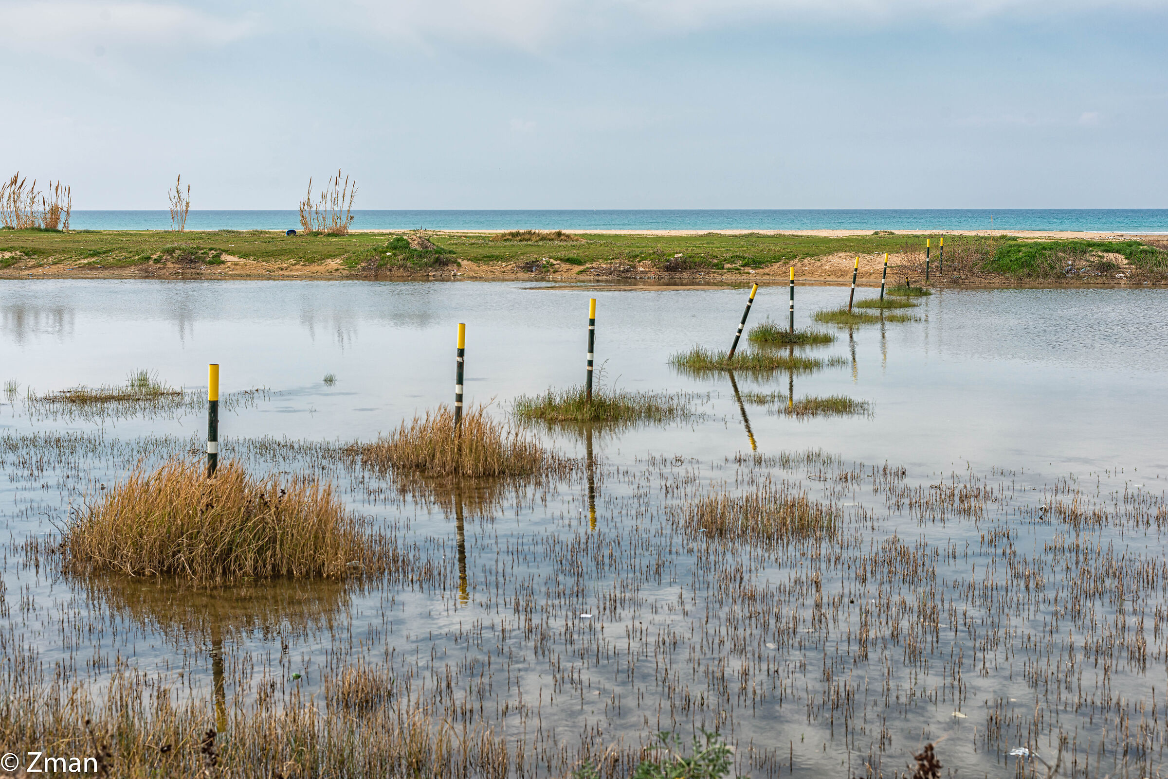 A Beach in Tyr