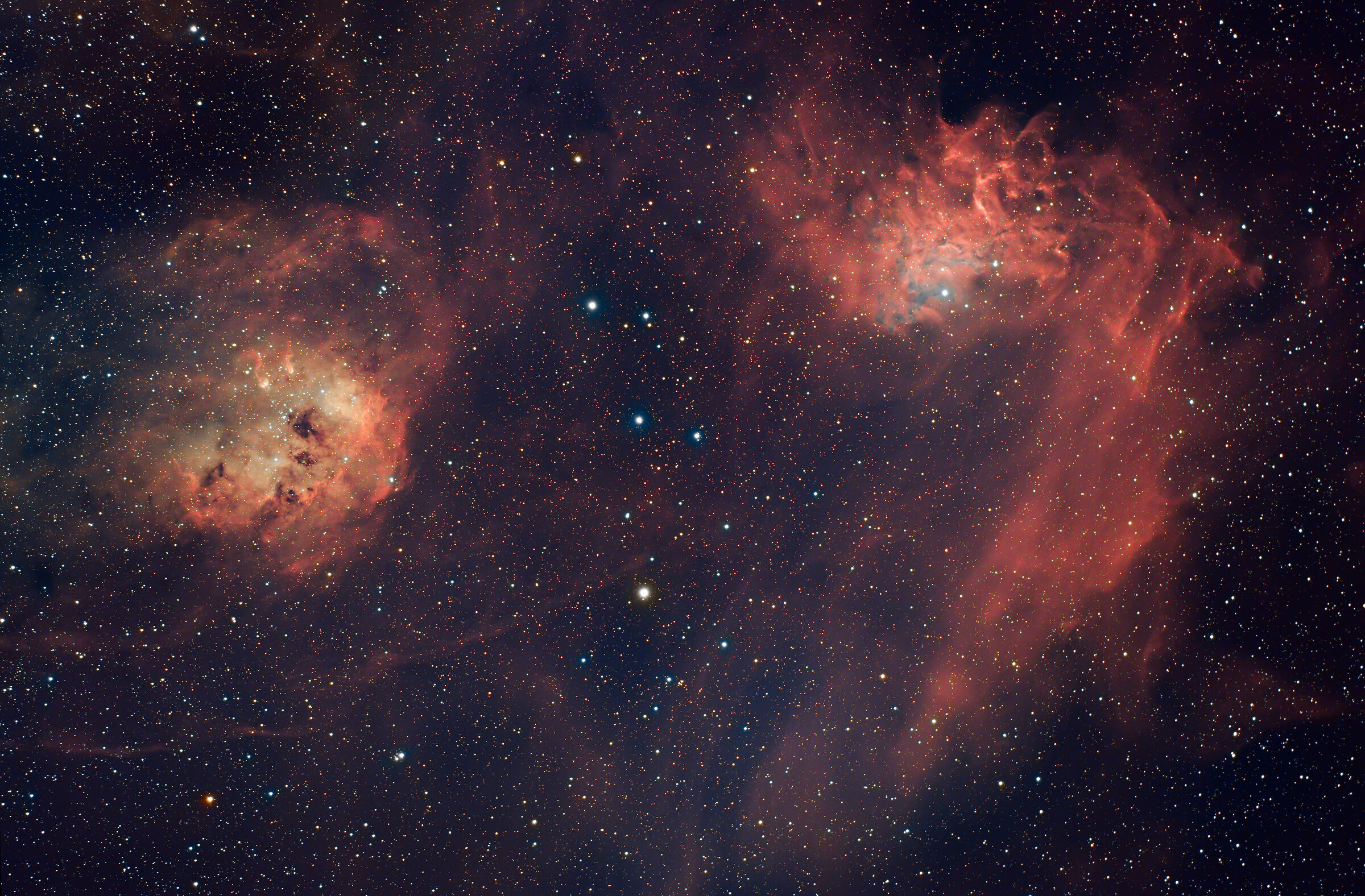 The flaming star nebula and tadpoles