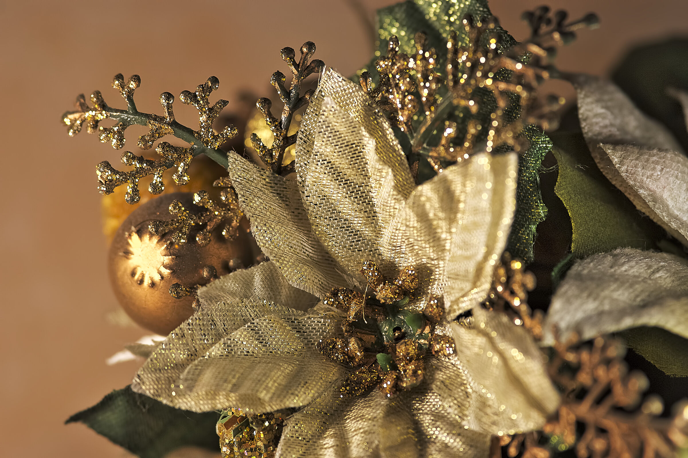 Test super risolution Silkypix 11