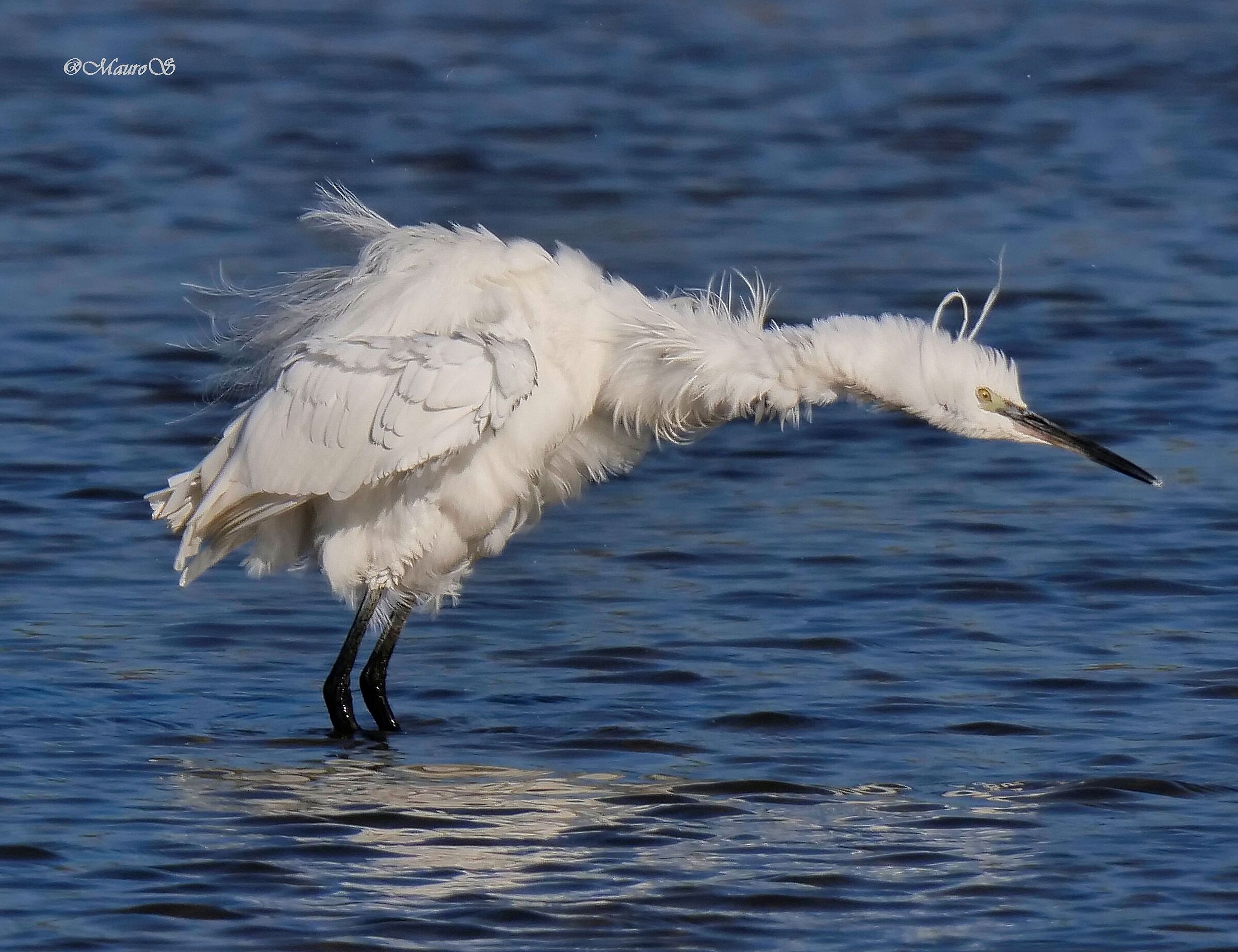 Oggi non è giornata...