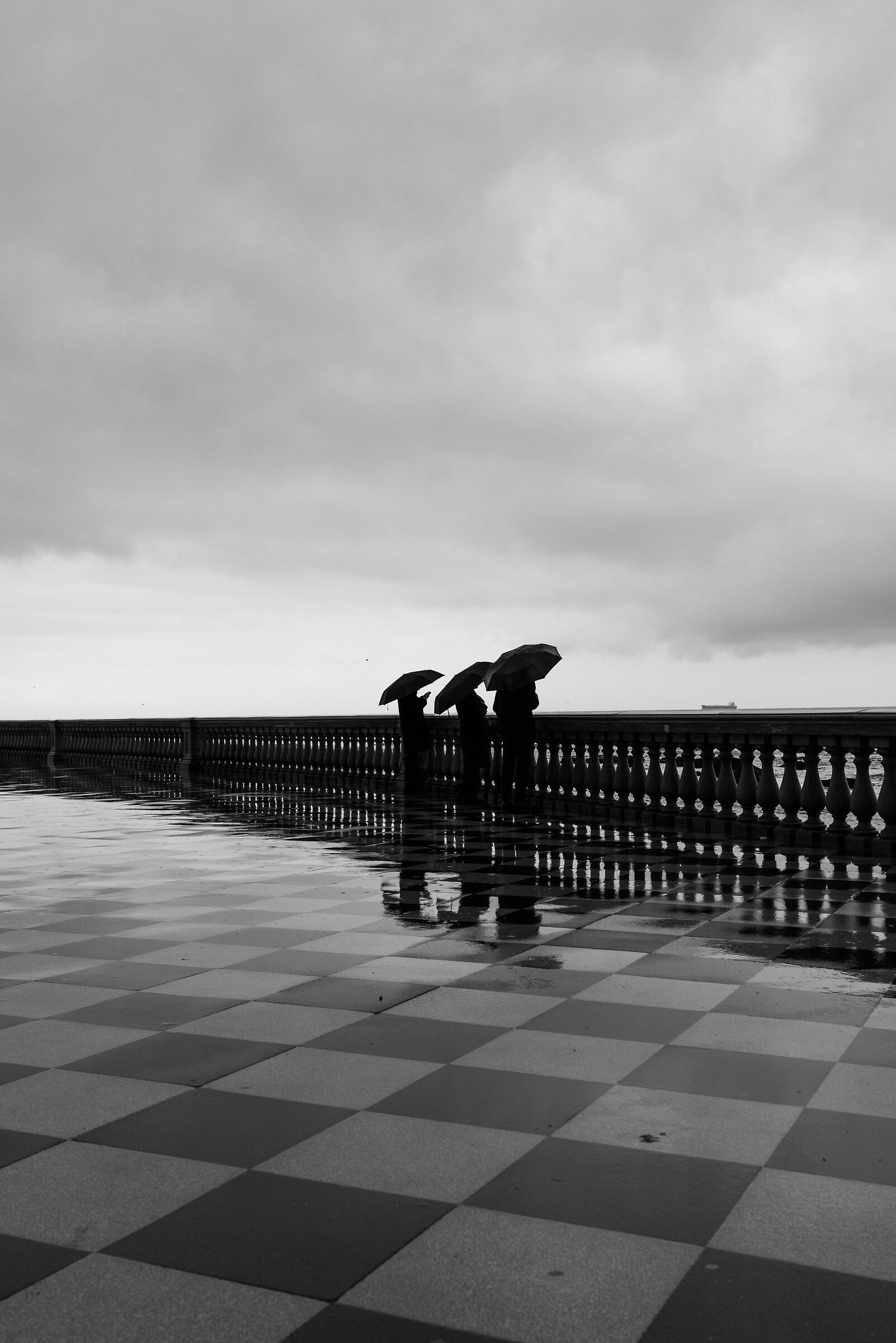 Rainy Afternoon