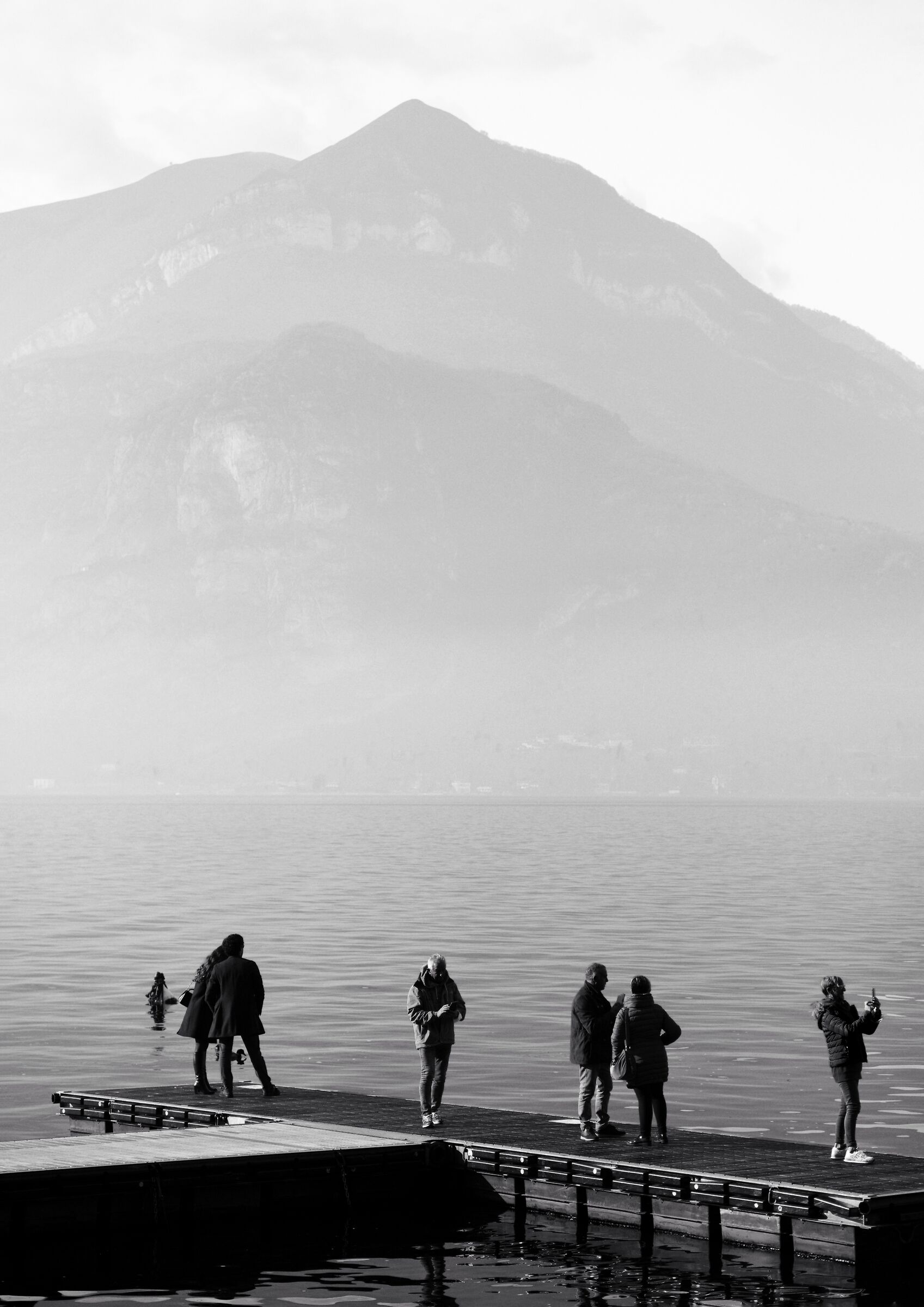 Fog on the Lake