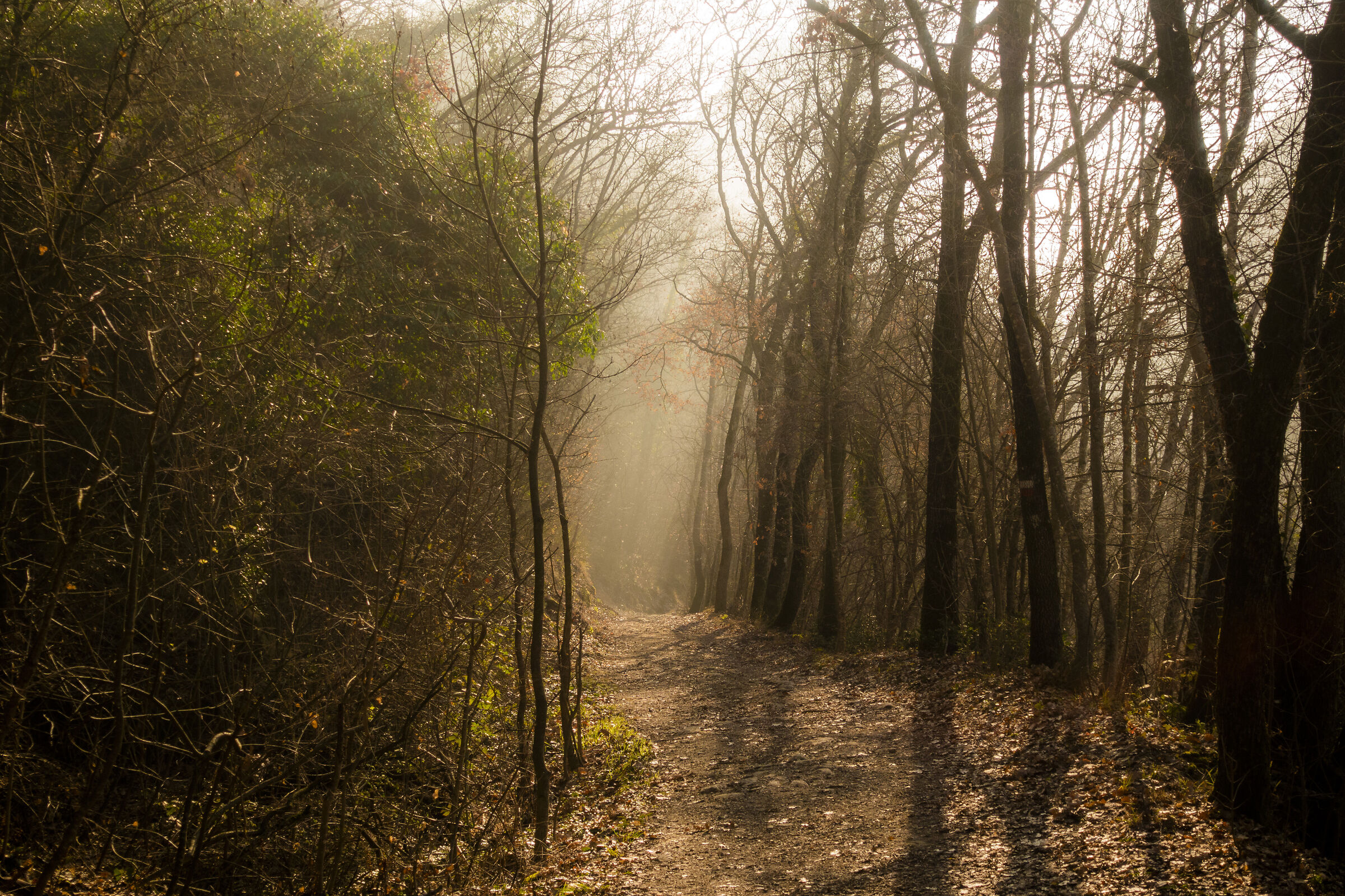 Parco di Rocca Malatina