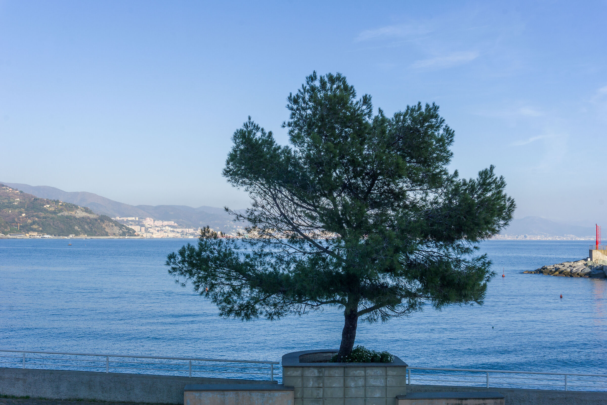Liguria