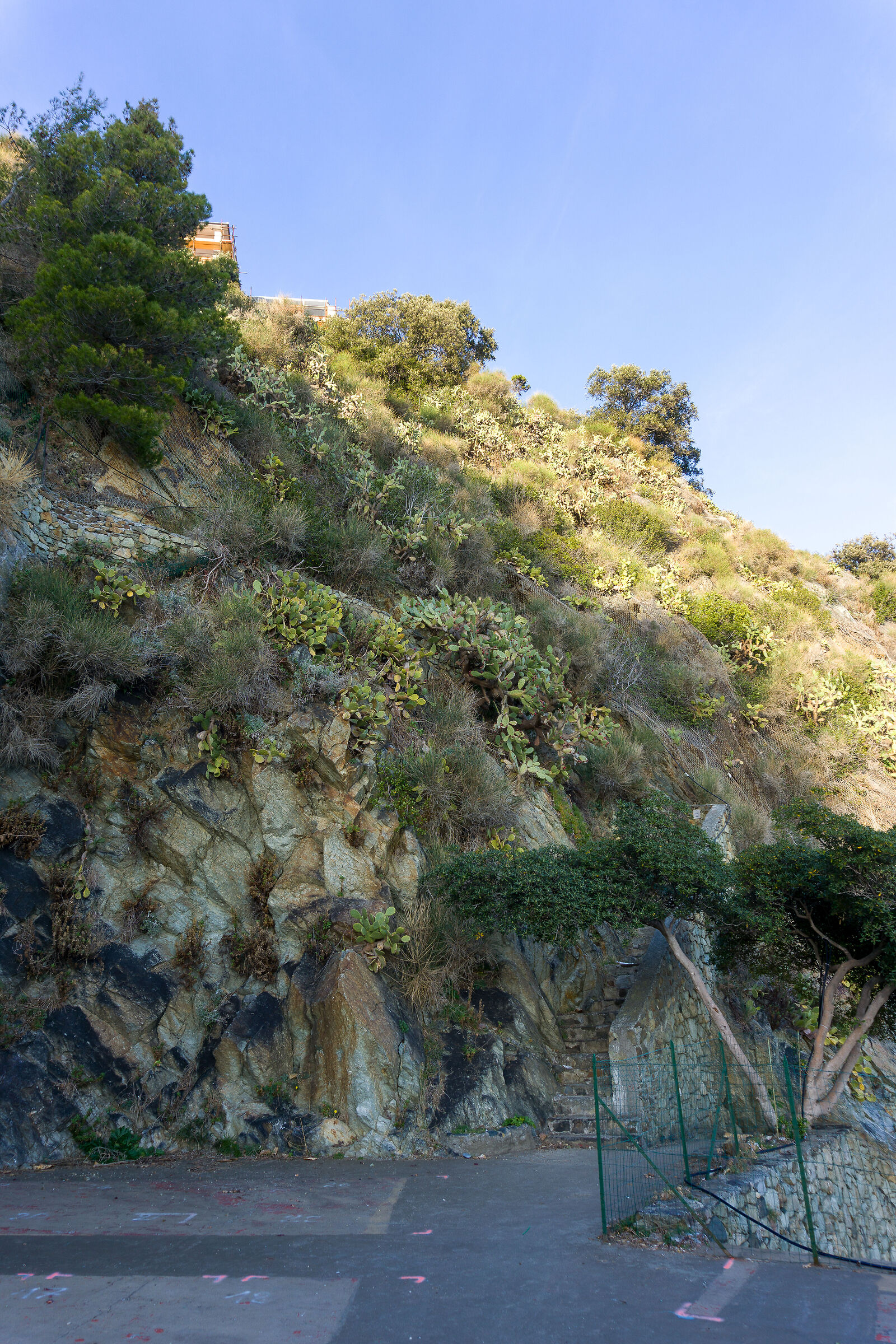 Liguria