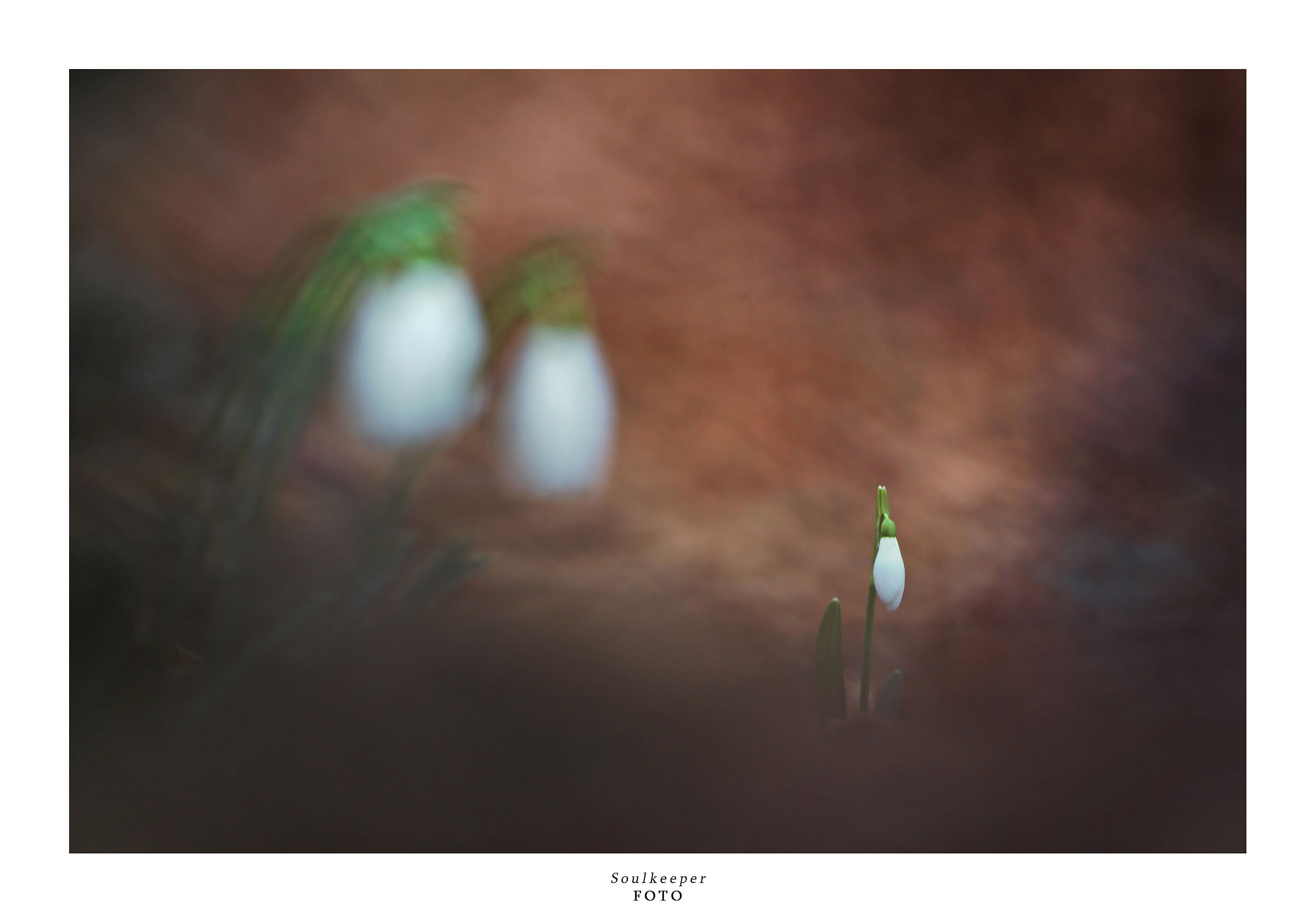 Sotto lo sguardo dei genitori.