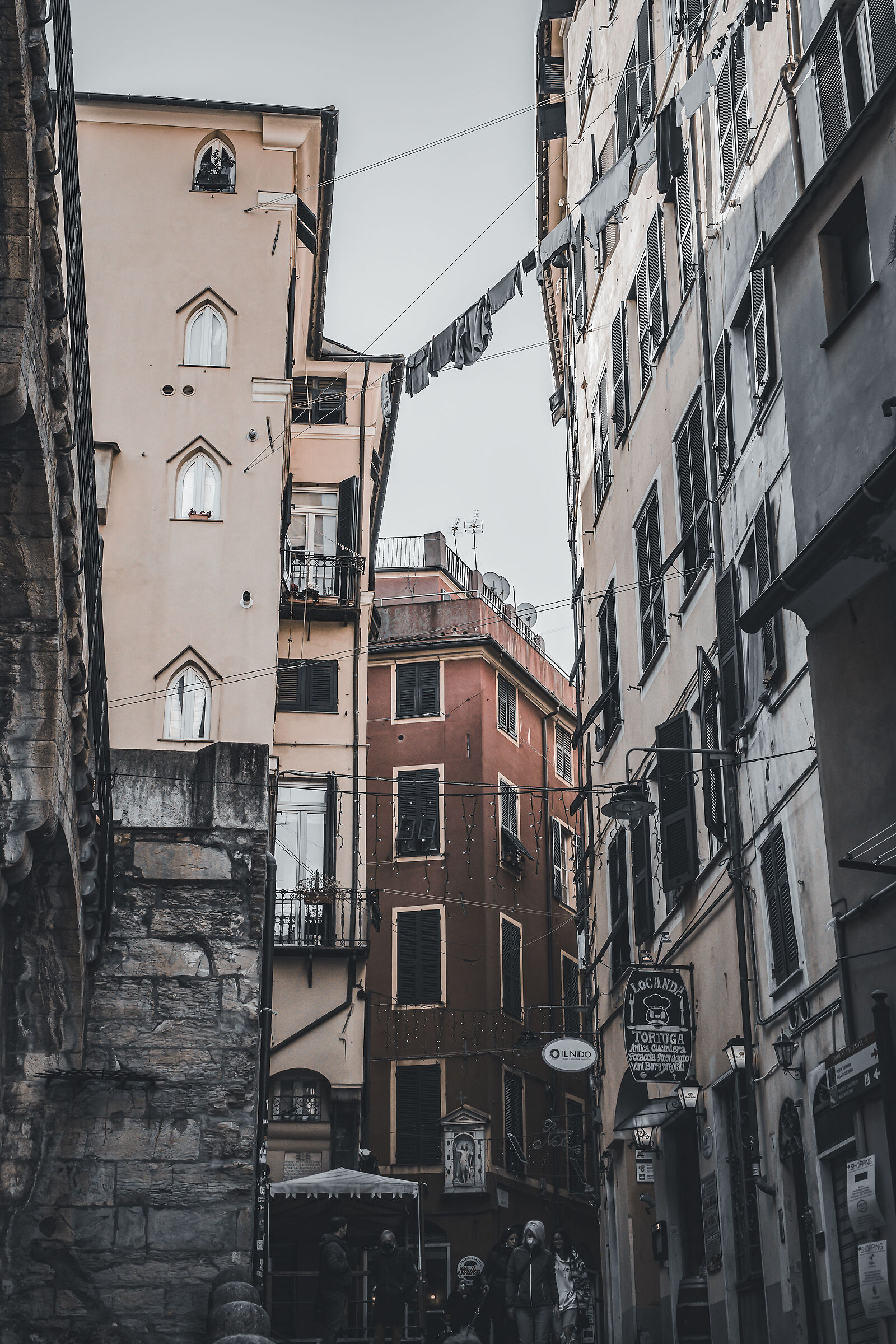 Genoa