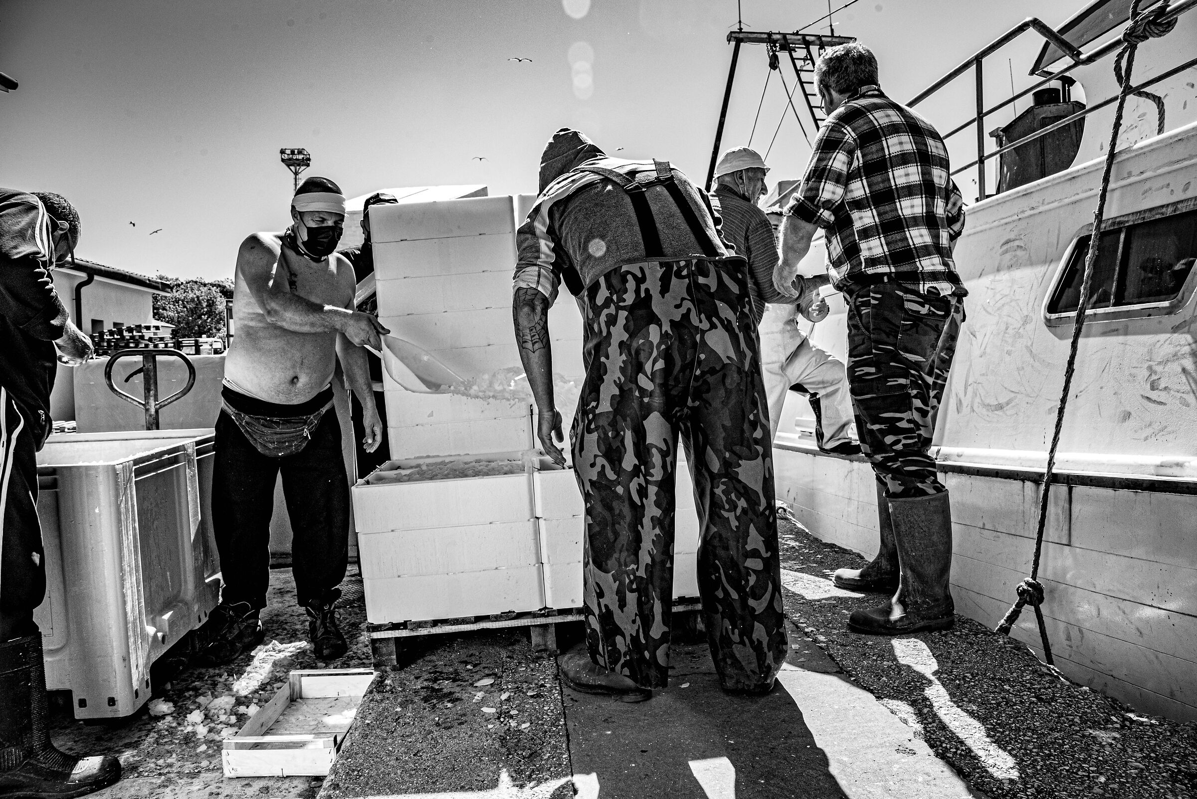 spedizione del pesce