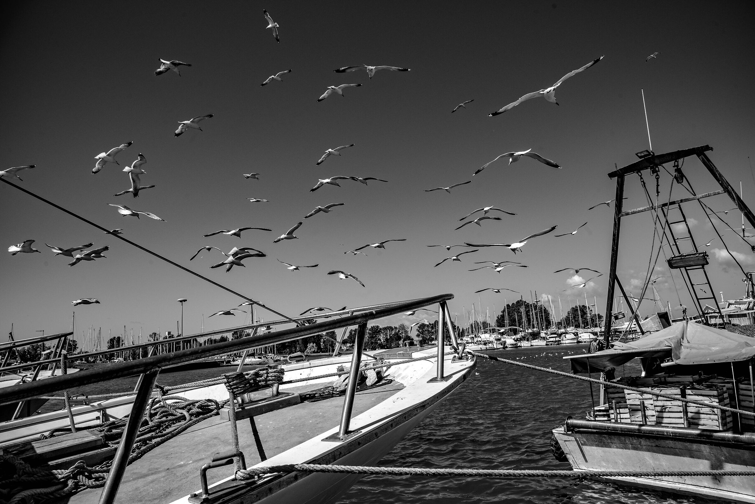 Gli spazzini del Mare