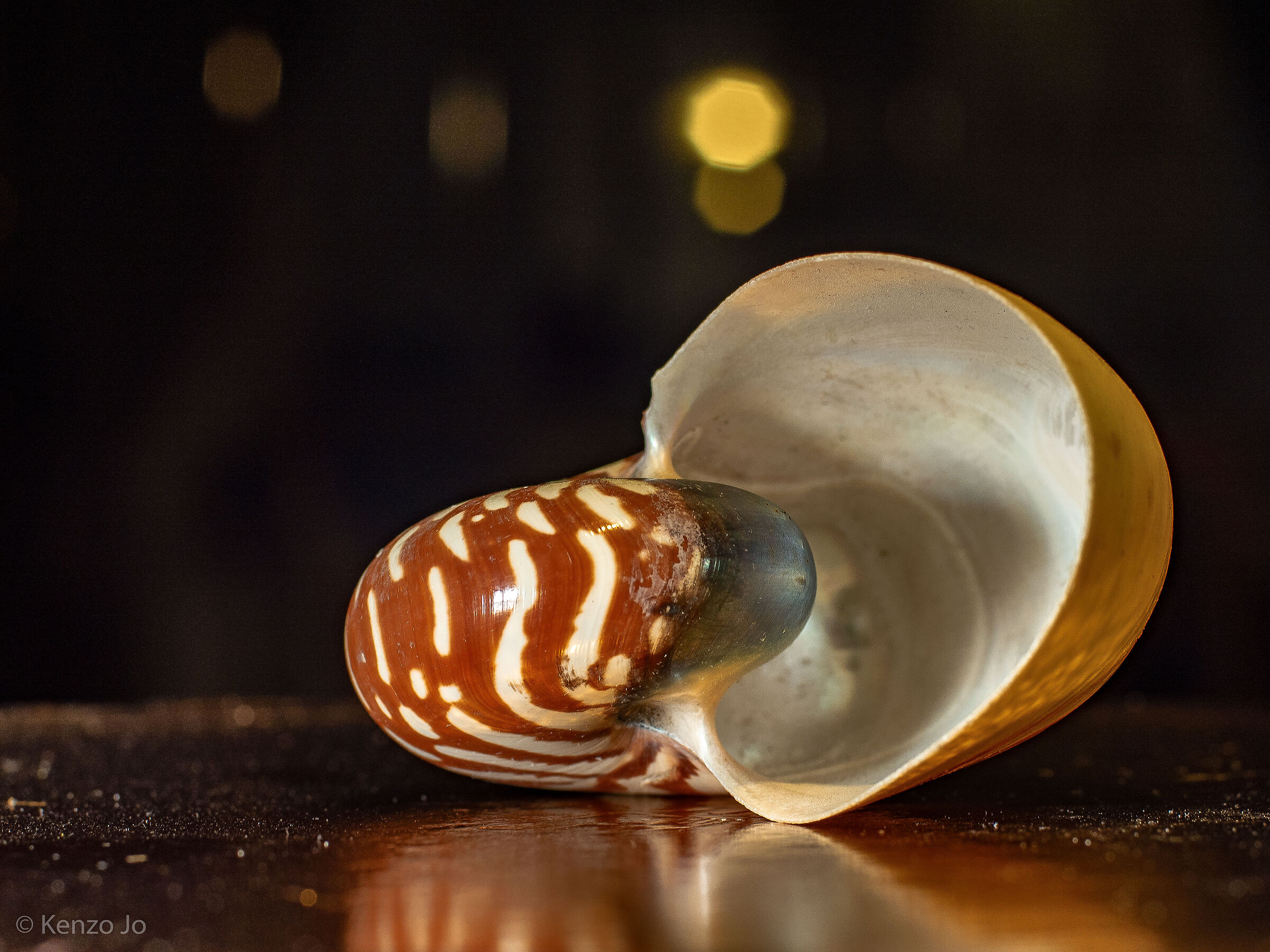 Que reste-t-il de nos amours?