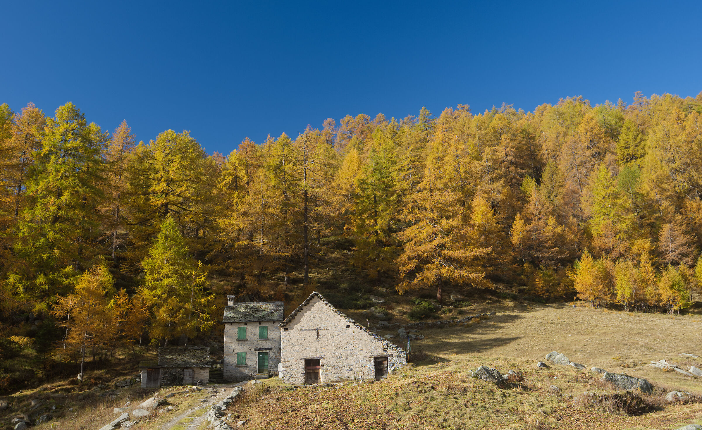 autunno 2020 Valdivedro