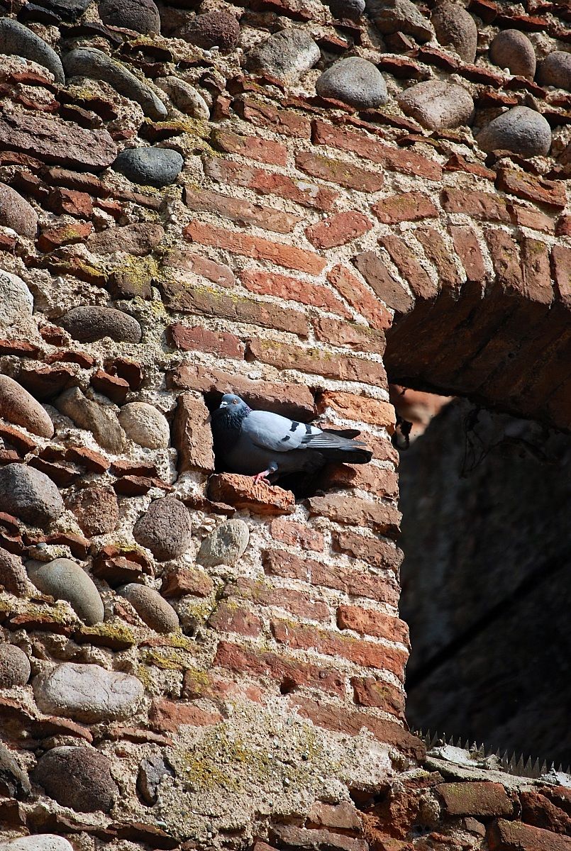 questa e' la mia casa