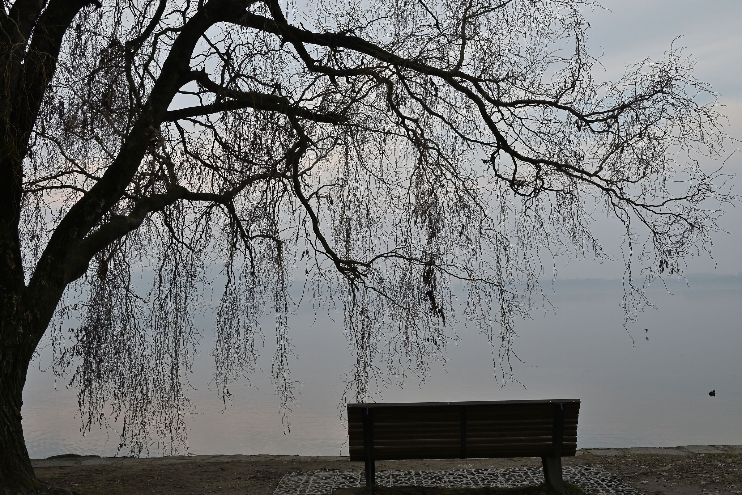 Melancholy