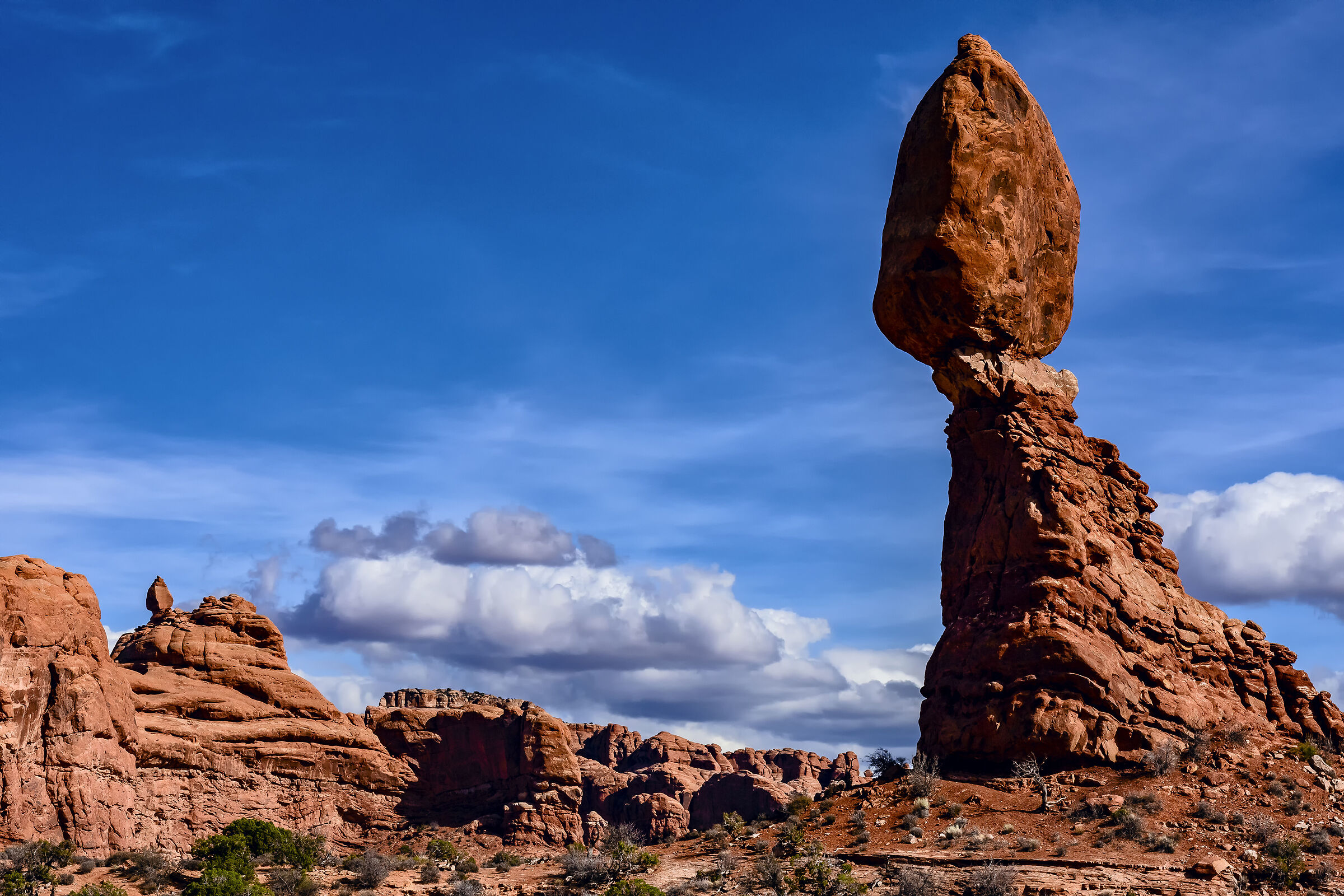 Wile E. Coyote hause