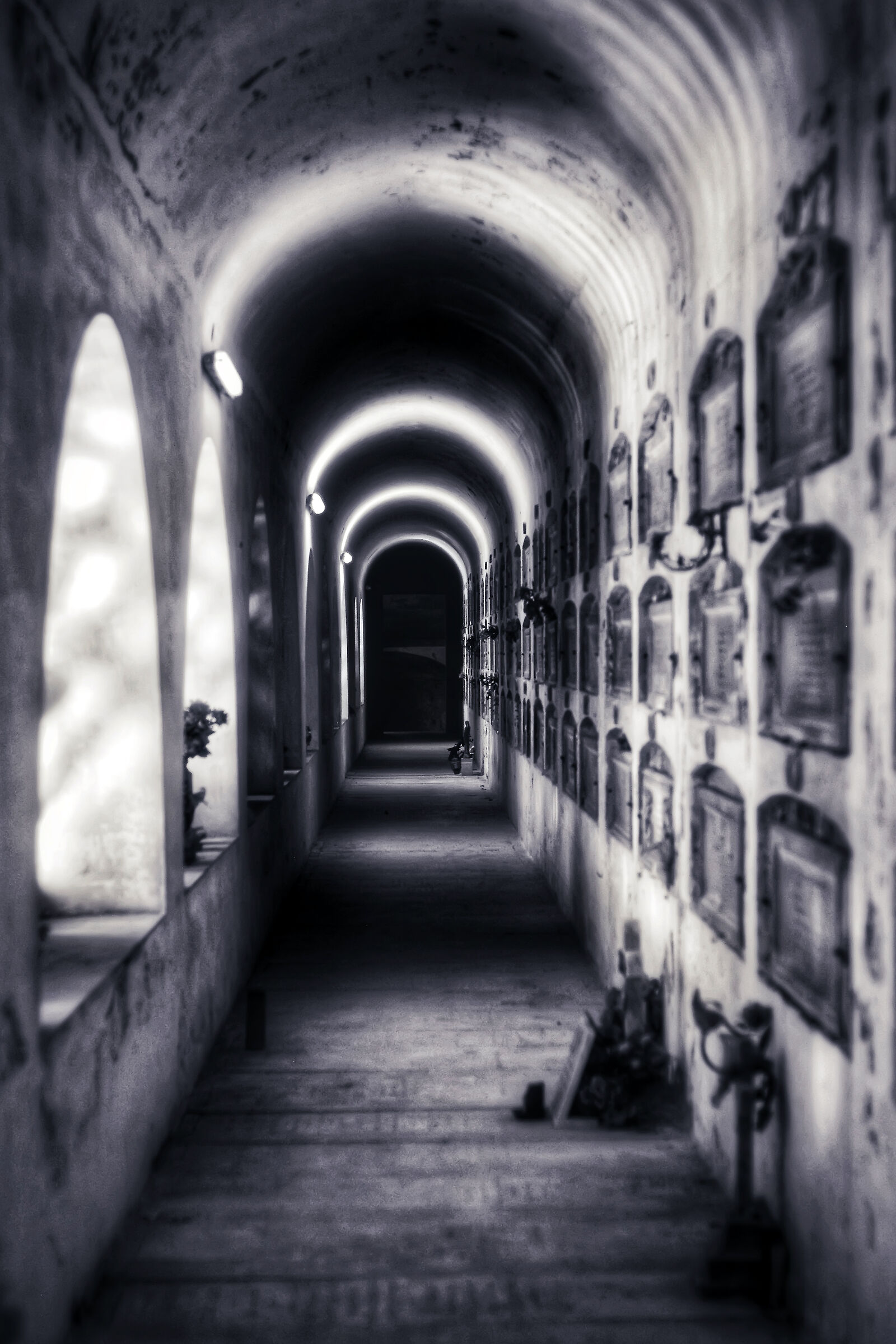 Luci ed ombre per la via eterna